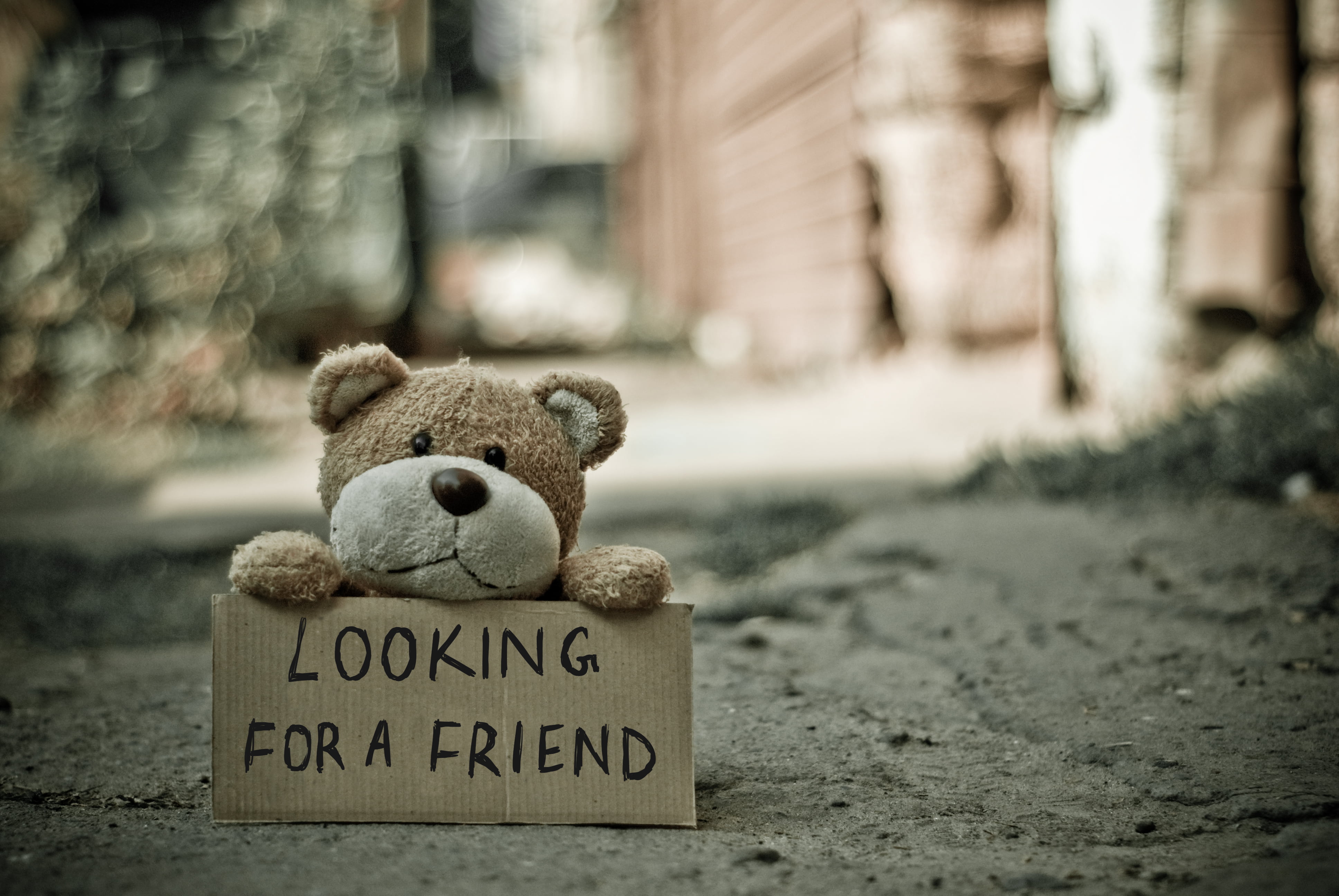 no People, western script, focus on foreground, animal representation, inscription, brown, outdoors, art and craft, craft, gift, teddy Bear, mammal, message, HD Wallpaper