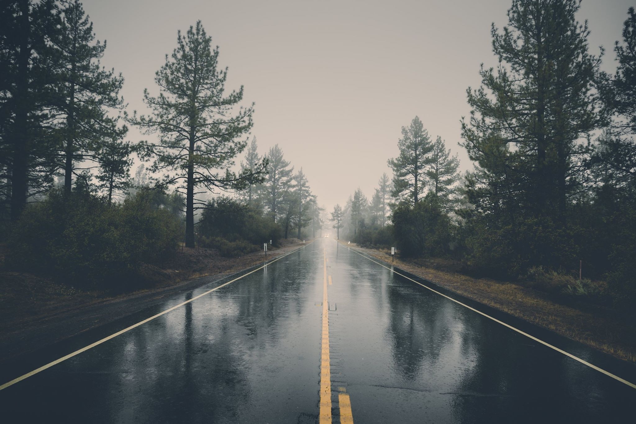 trees, 1080P, road, reflection, paysage, nature, HD Wallpaper