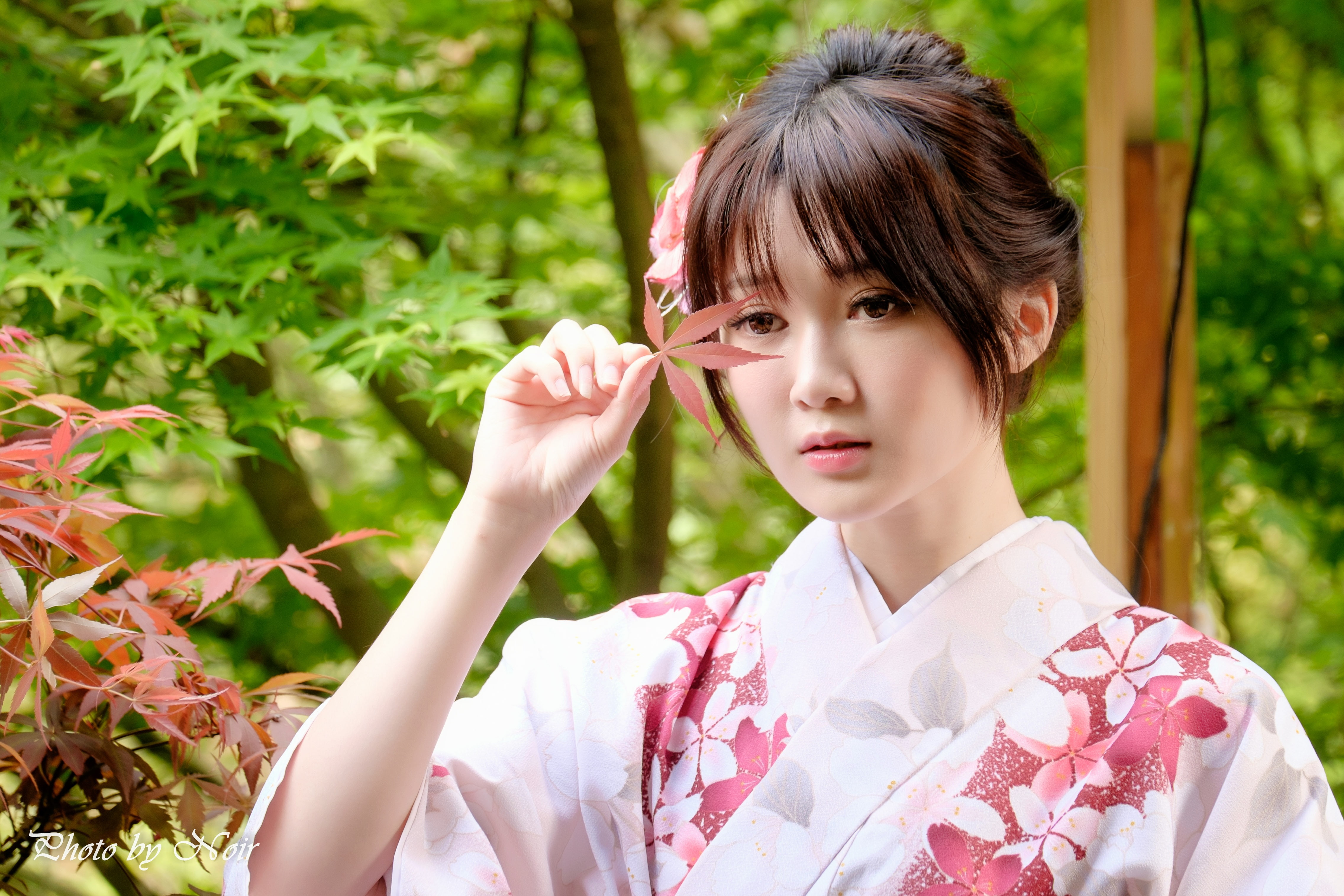 real people, adult, portrait, young adult, one person, focus on foreground, front view, tree, headshot, young women, women, kimono, 4K, outdoors, beautiful woman, HD Wallpaper