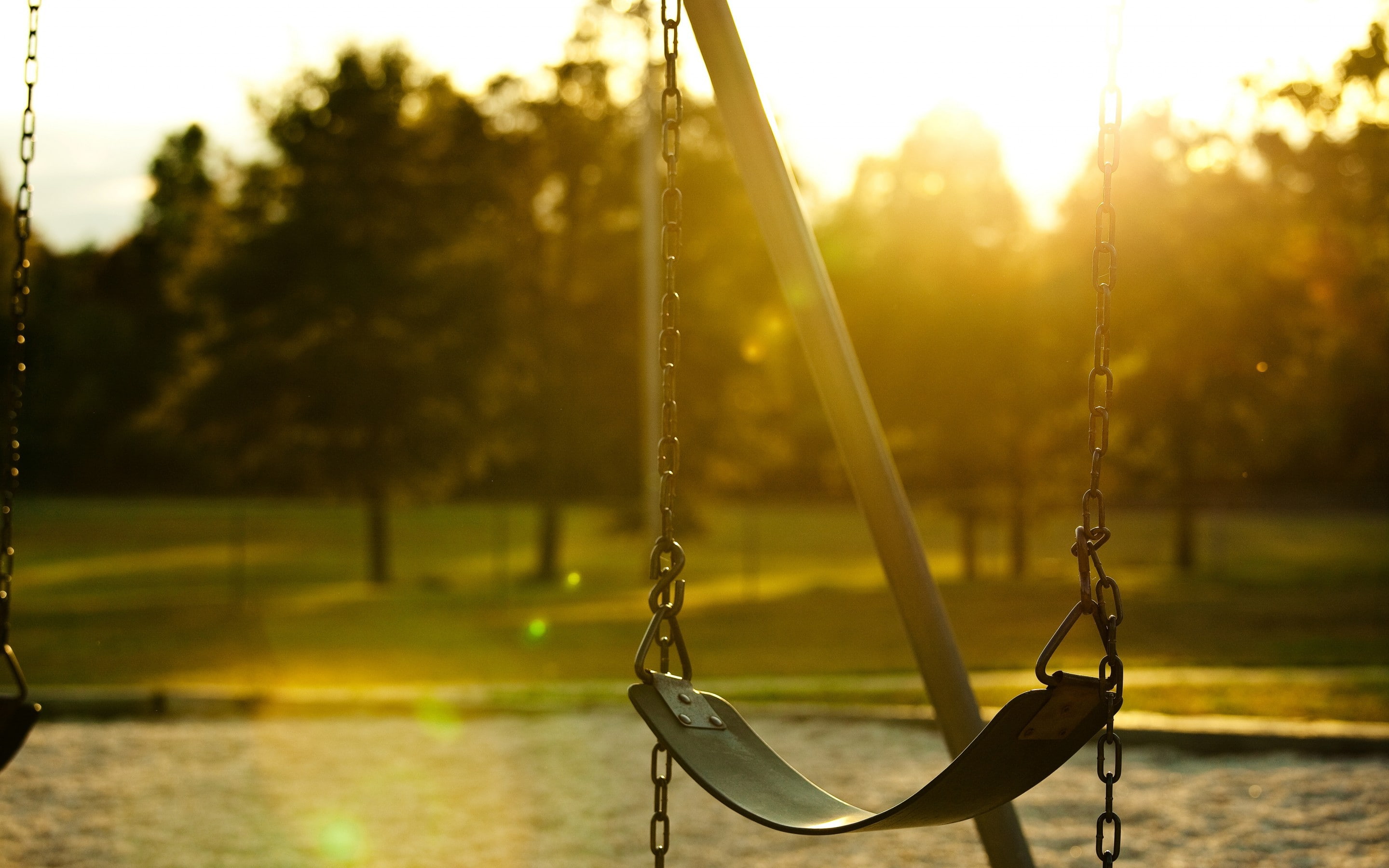 sun, s, trees, fullscreen, swings, mood swings, rays, background, green, mood, day, beautiful, widescreen, 2K, leaves, swing, foliage, Chain, tree, HD Wallpaper