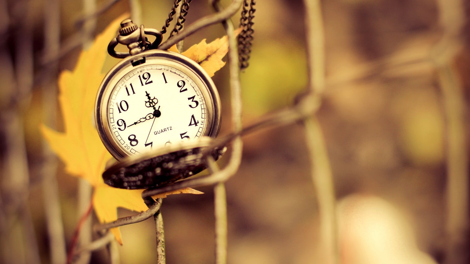 1080P, time, chain, leaves, communication, plants, fence, indoors, instrument of time, clocks, silver colored, number, clock face, no people, depth of field, HD Wallpaper
