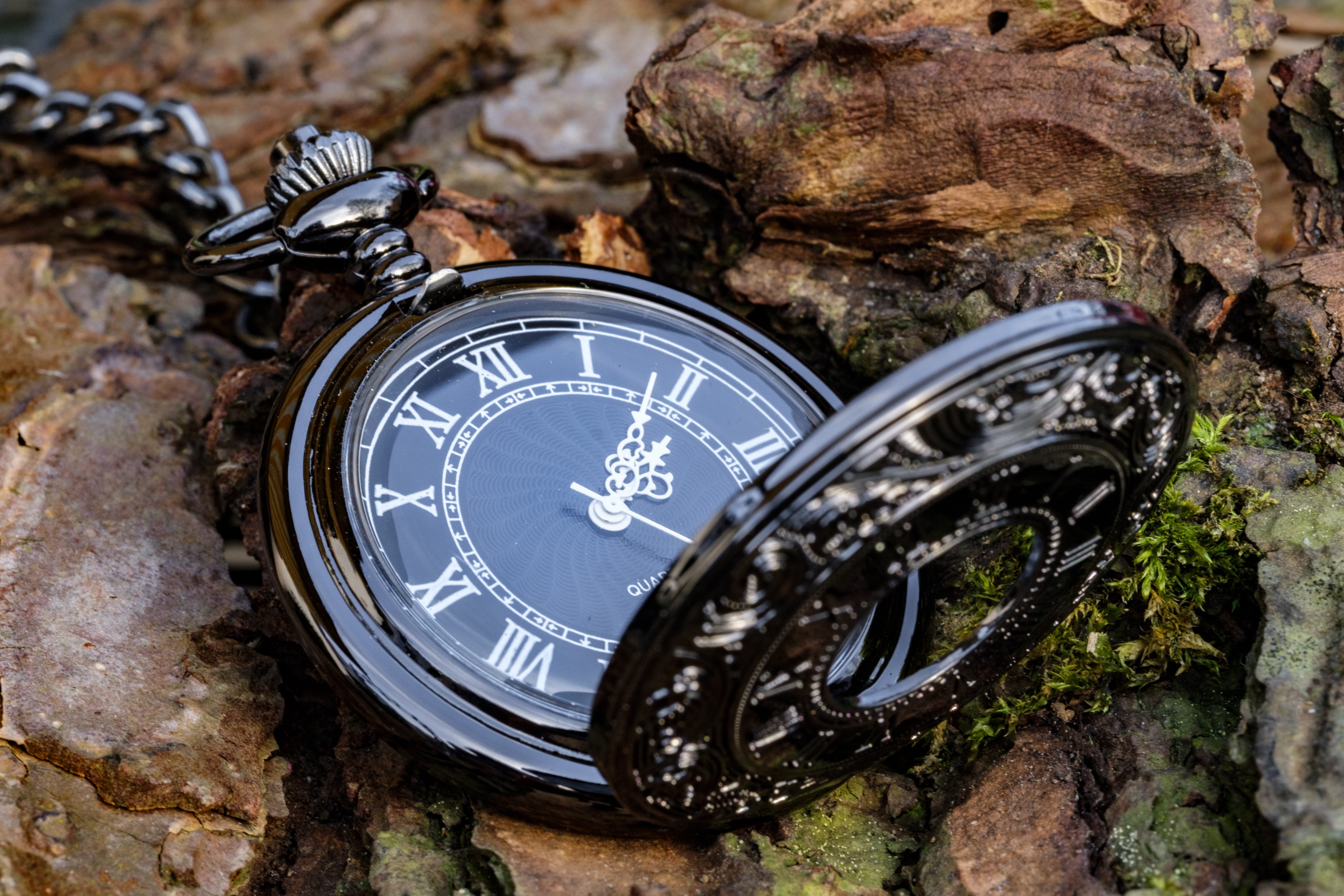 tree bark, time indicating, antique, instrument of time, time of, personal accessory, focus on foreground, minute hand, pointing, past, high angle view, HD Wallpaper