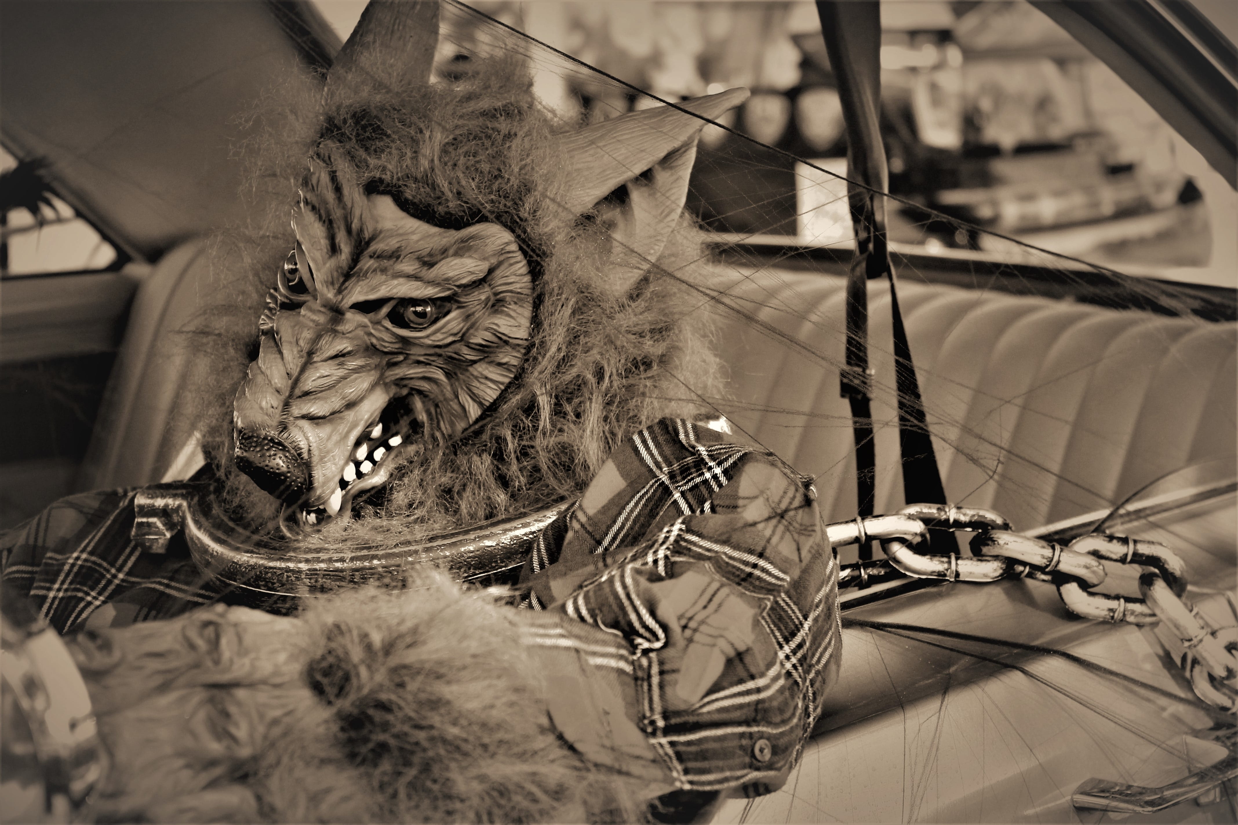 amber avalona, wolfman, halloween décor, day, myth, frighten, halloween, oil pump, whisker, spooky, animal themes, nightmare, chain, mammal, decoration, HD Wallpaper