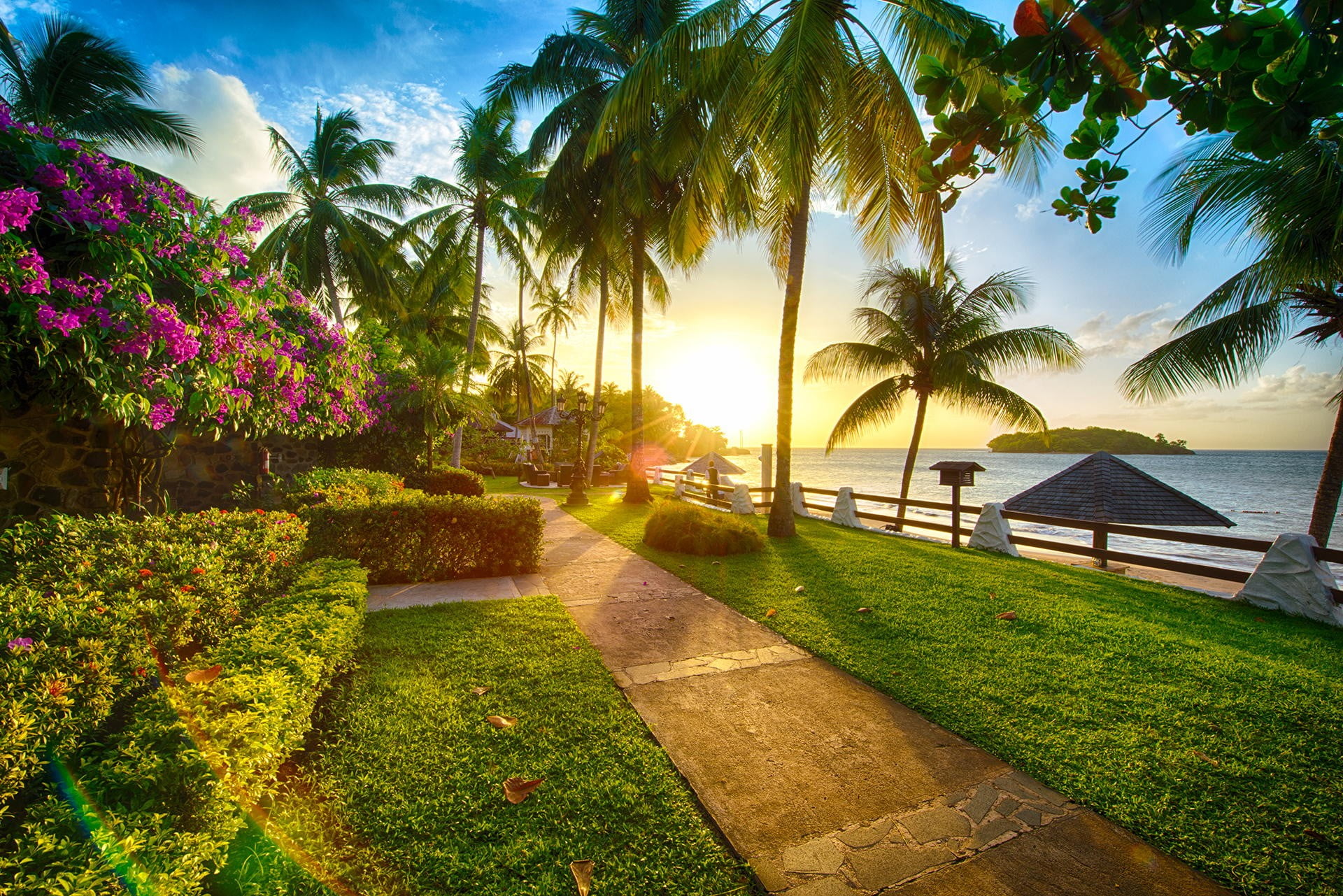 tropical climate, water, tree, no people, 1080P, swimming pool, grass, beauty in nature, path, green, growth, plant, beach, tranquil scene, bright, sun, HD Wallpaper