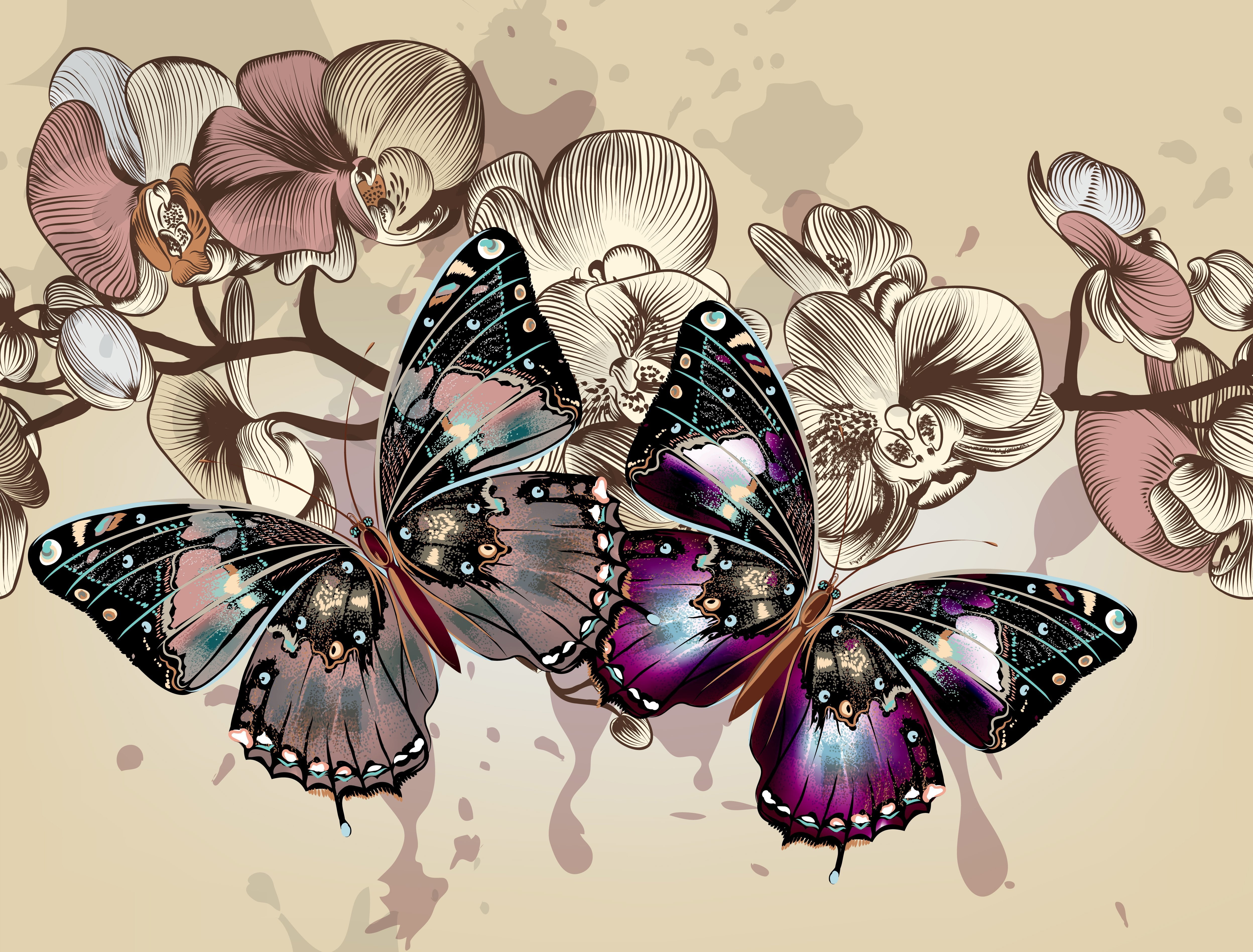 flying, still life, close-up, nature, pattern, summer, computer Graphic, butterfly - Insect, luxury, table, animal, two, 4K, multi Colored, flower, white background, HD Wallpaper