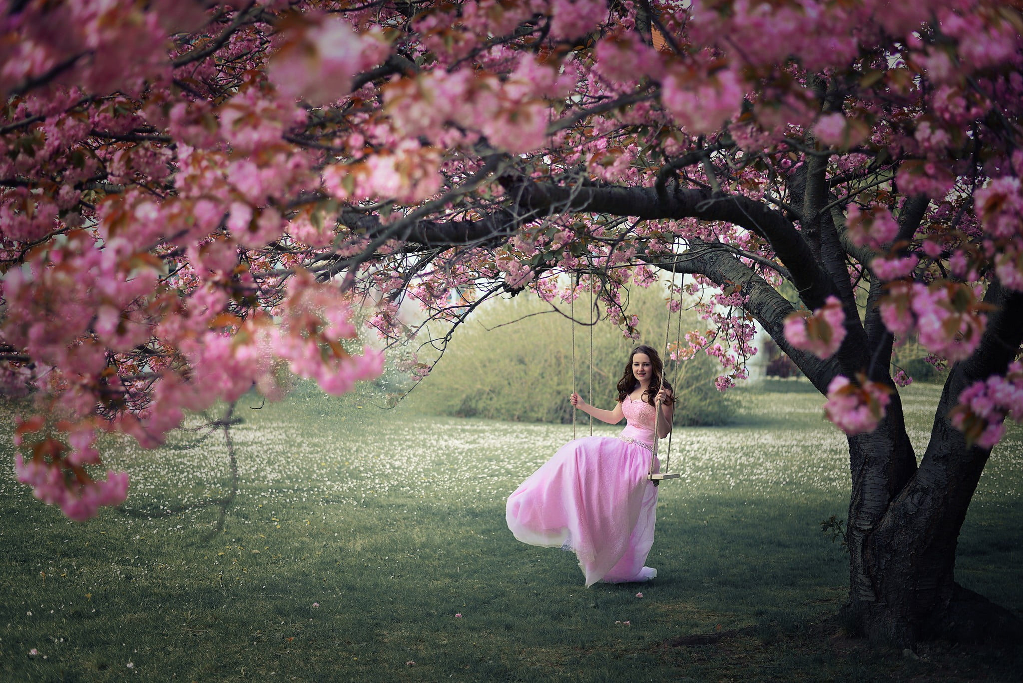 riding, pink color, woman, women outdoors, outdoors, park, women, cherry blossom, leaf, cherry tree, chair, model, springtime, trees, leisure activity, HD Wallpaper