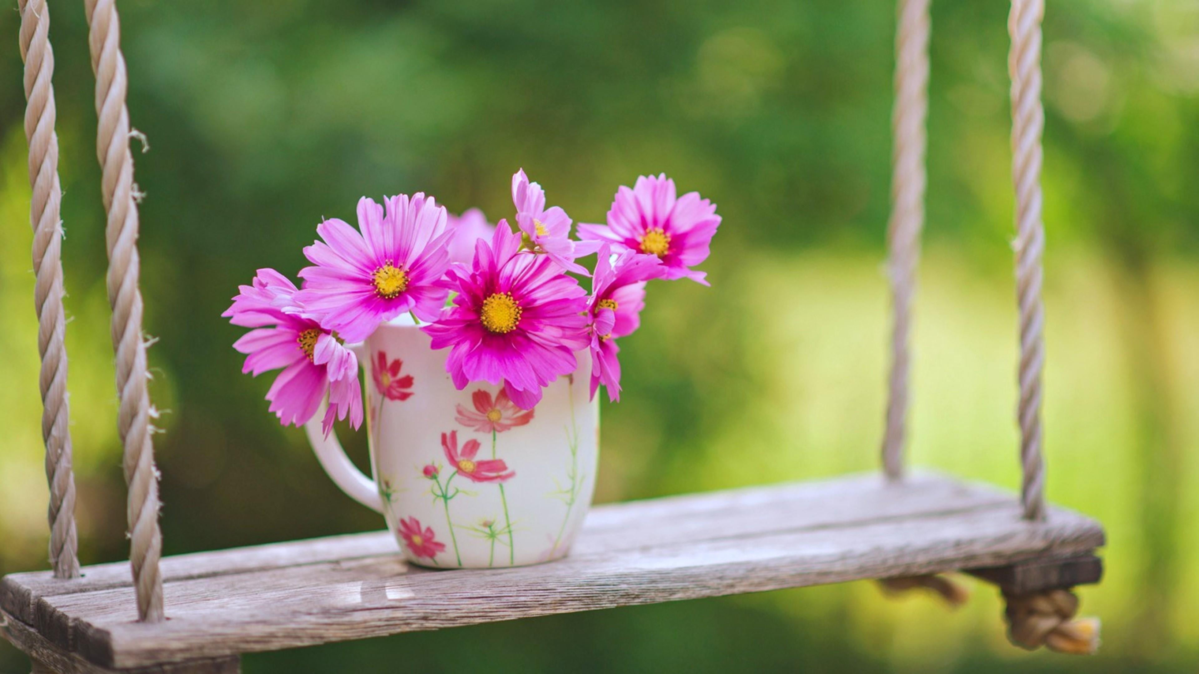pink color, focus on foreground, garden, close-up, wild flower, inflorescence, no people, freshness, wood - material, 4K, petal, beauty in nature, flower arrangement, HD Wallpaper