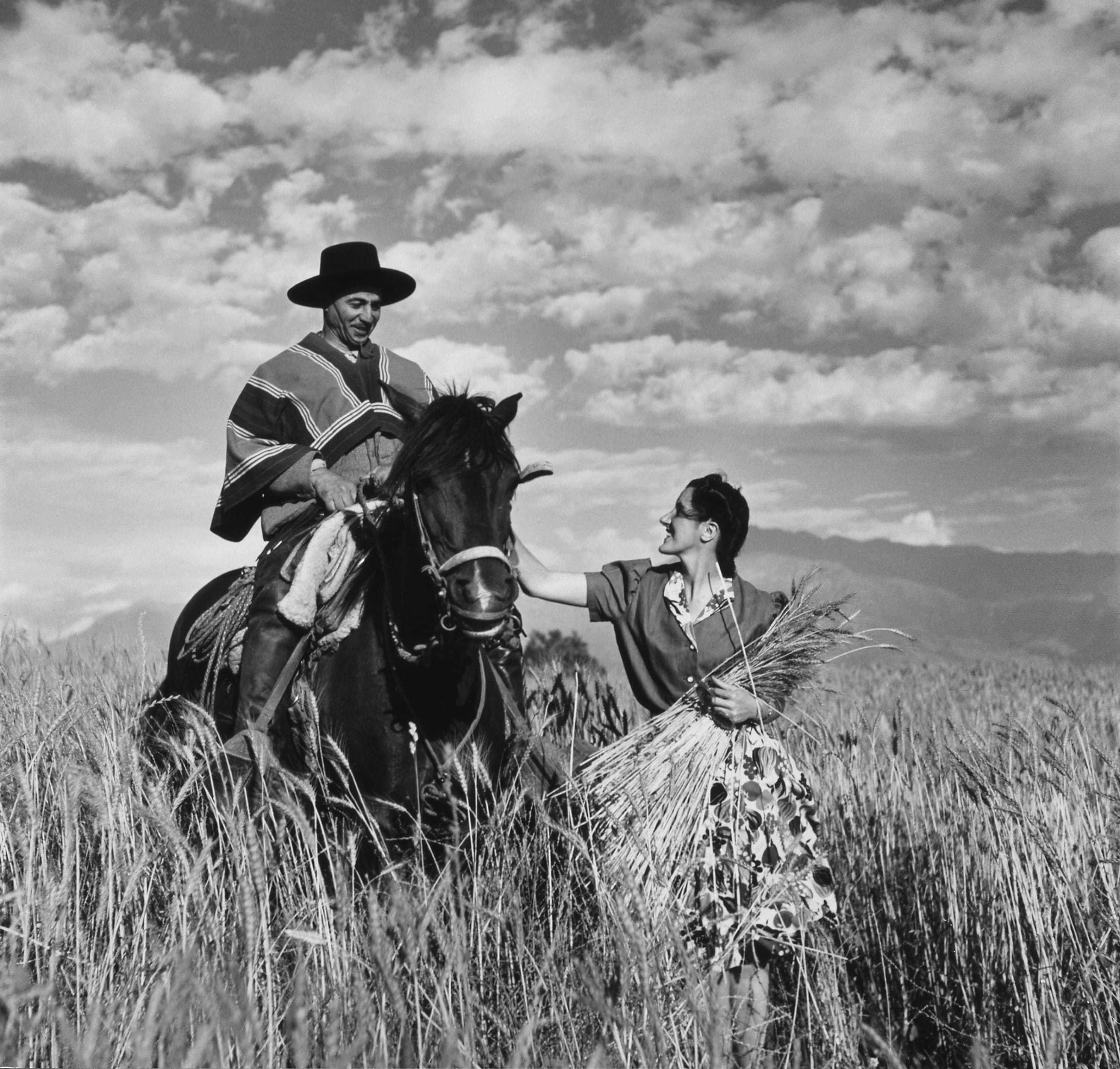 pets, indio, mid adult, Gaucho, arabs, outdoors, domestic animals, nature, riding, livestock, 1940, field, Reiter, plant, one animal, Ride, mammal, land, HD Wallpaper