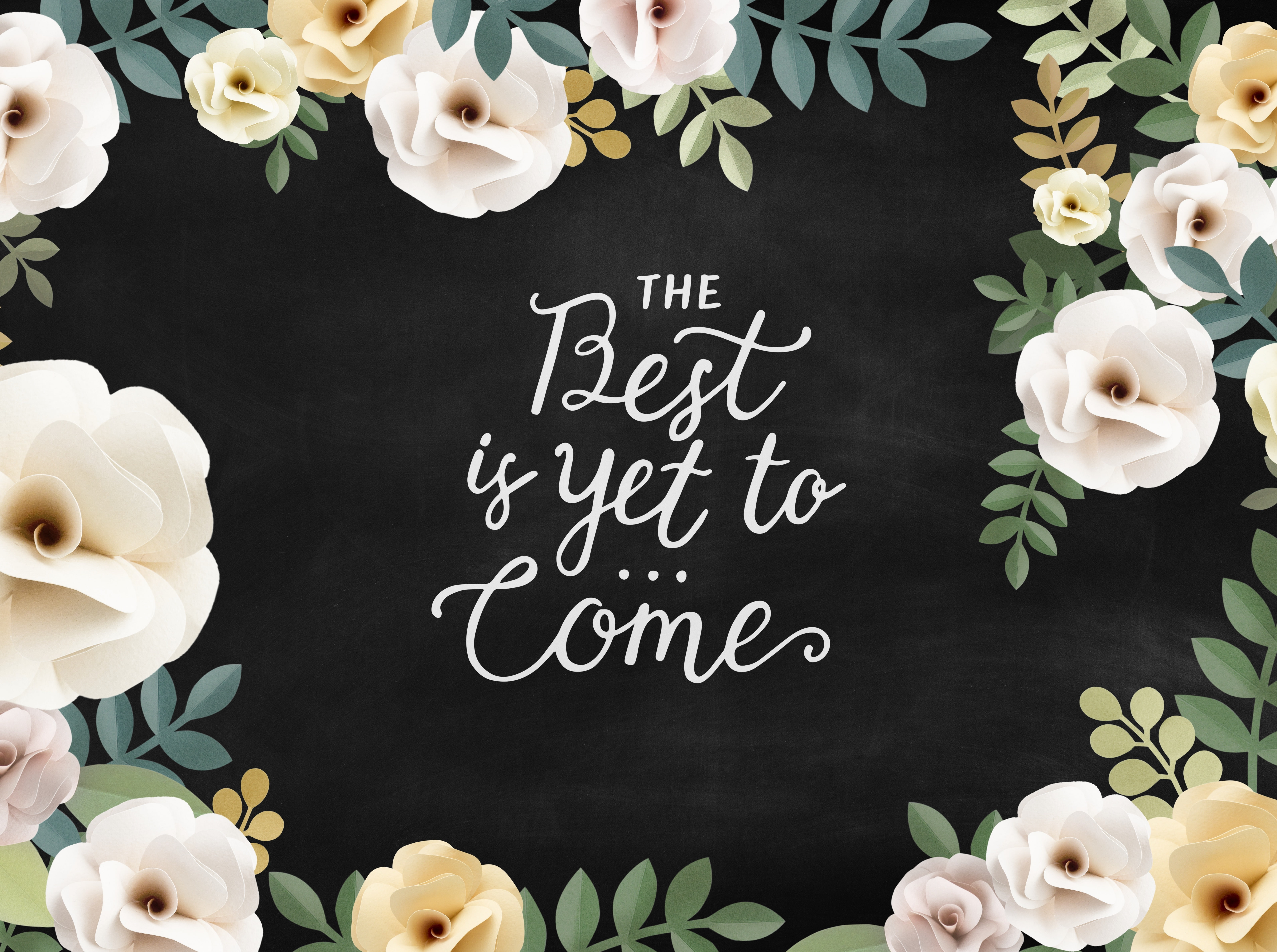 Plants, blackboard, roses, Elegance, black background, flower, indoors, Artistic, Retro, border, cake, freshness, Decoration, sweet, Inspiration, handwriting, HD Wallpaper
