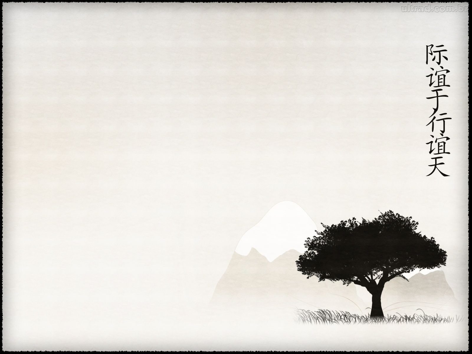 720P, bonsai, HD Wallpaper