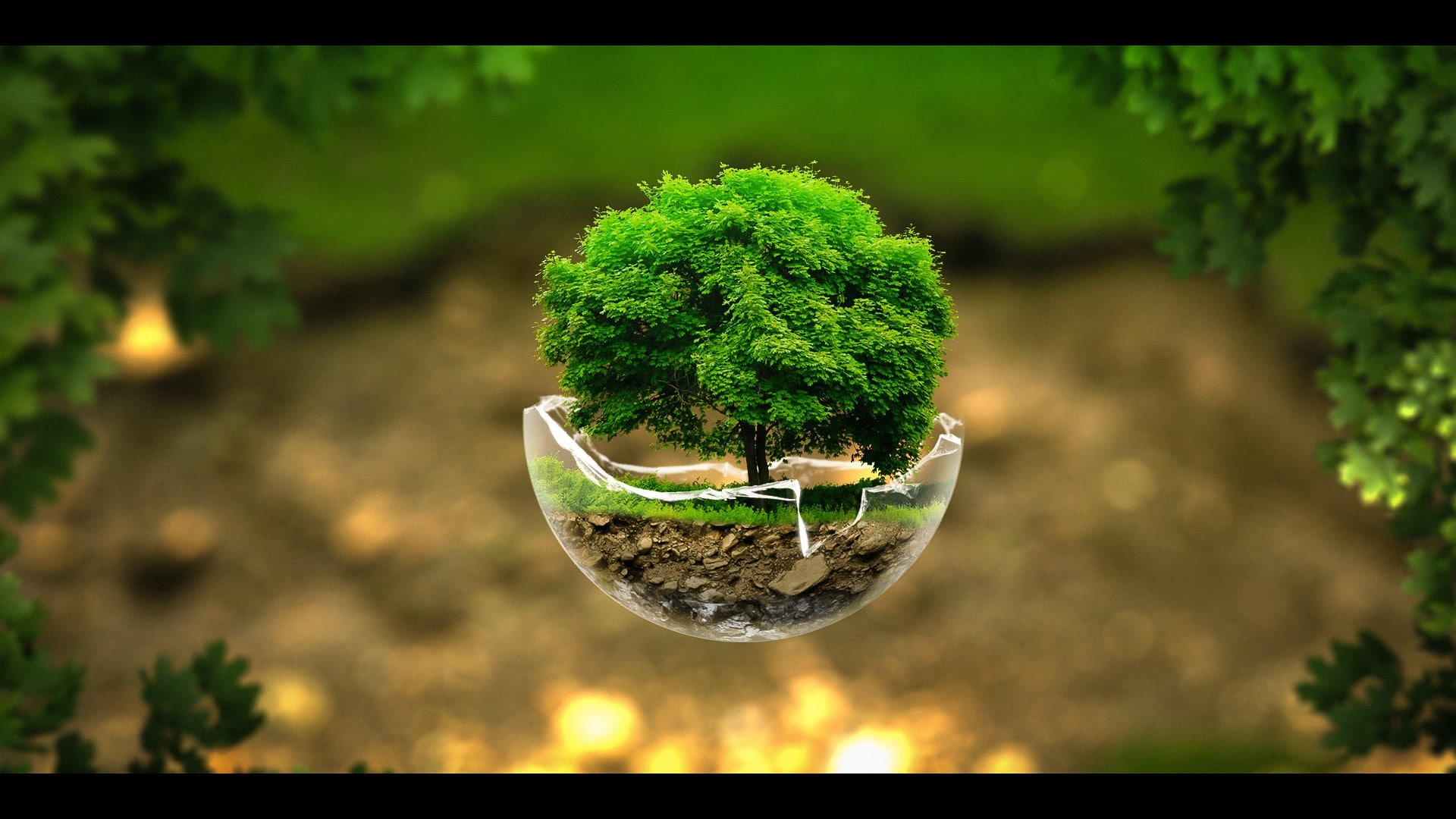 digital art, Photoshop, trees, 1080P, surreal, nature, broken glass, HD Wallpaper