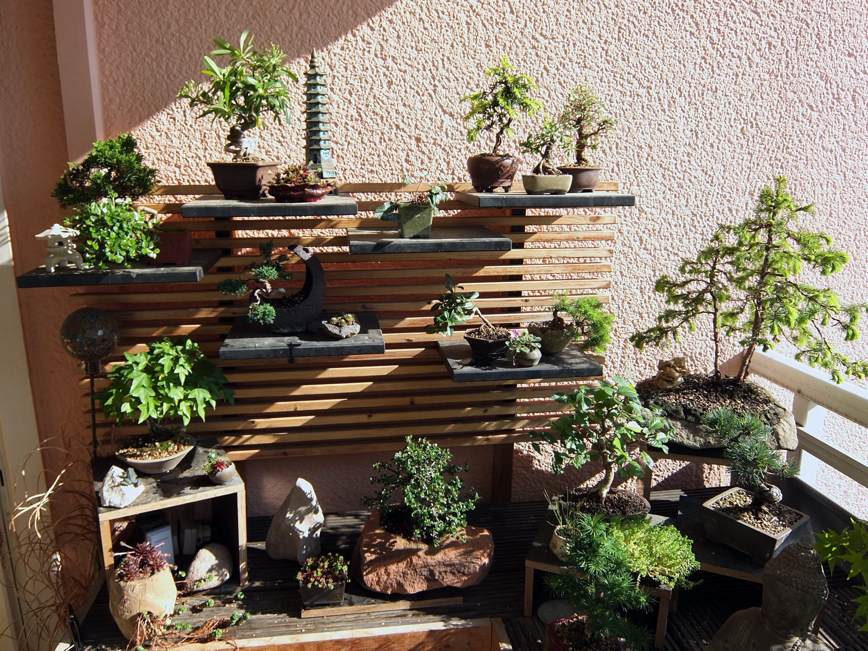 flower, growth, beauty in nature, built structure, green color, staircase, potted plant, flower pot, cactus, bonsai garden, solid, front or back yard, no people, HD Wallpaper
