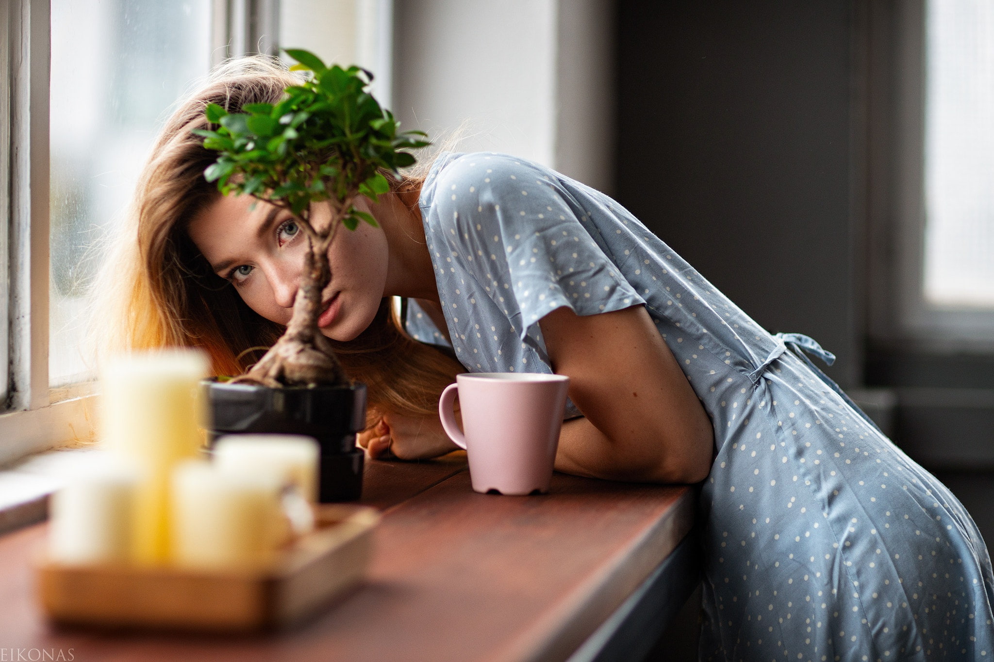 adult, one person, casual clothing, women indoors, lifestyles, brunette, portrait, sitting, drink, hair, table, blue dress, bonsai, relaxation, contemplation, HD Wallpaper