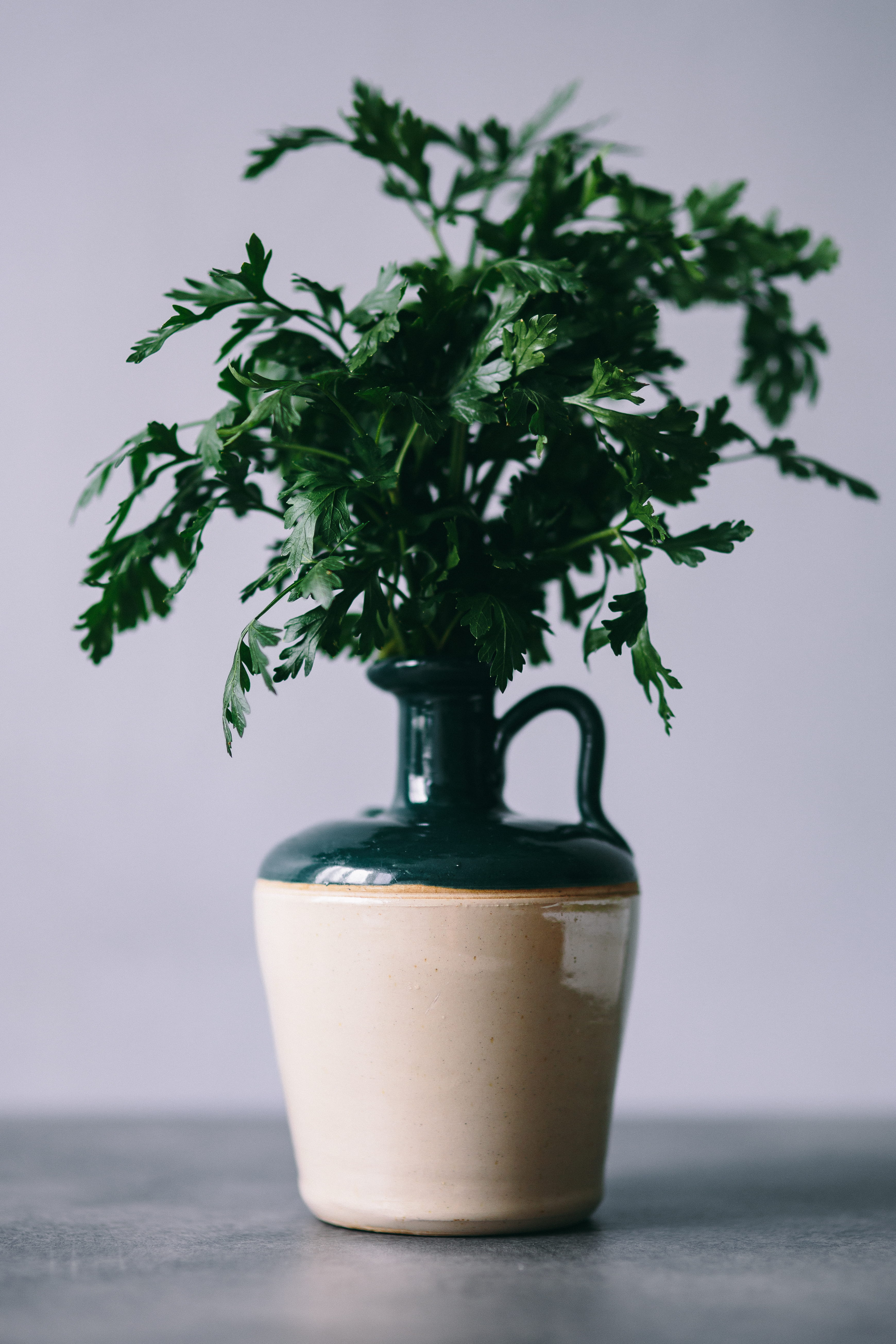 growth, parslel, greenery, green color, still life, flower Pot, table, studio shot, green peas, no people, green, nature, spices, plant, vegetables, cucumbers, Phone HD Wallpaper