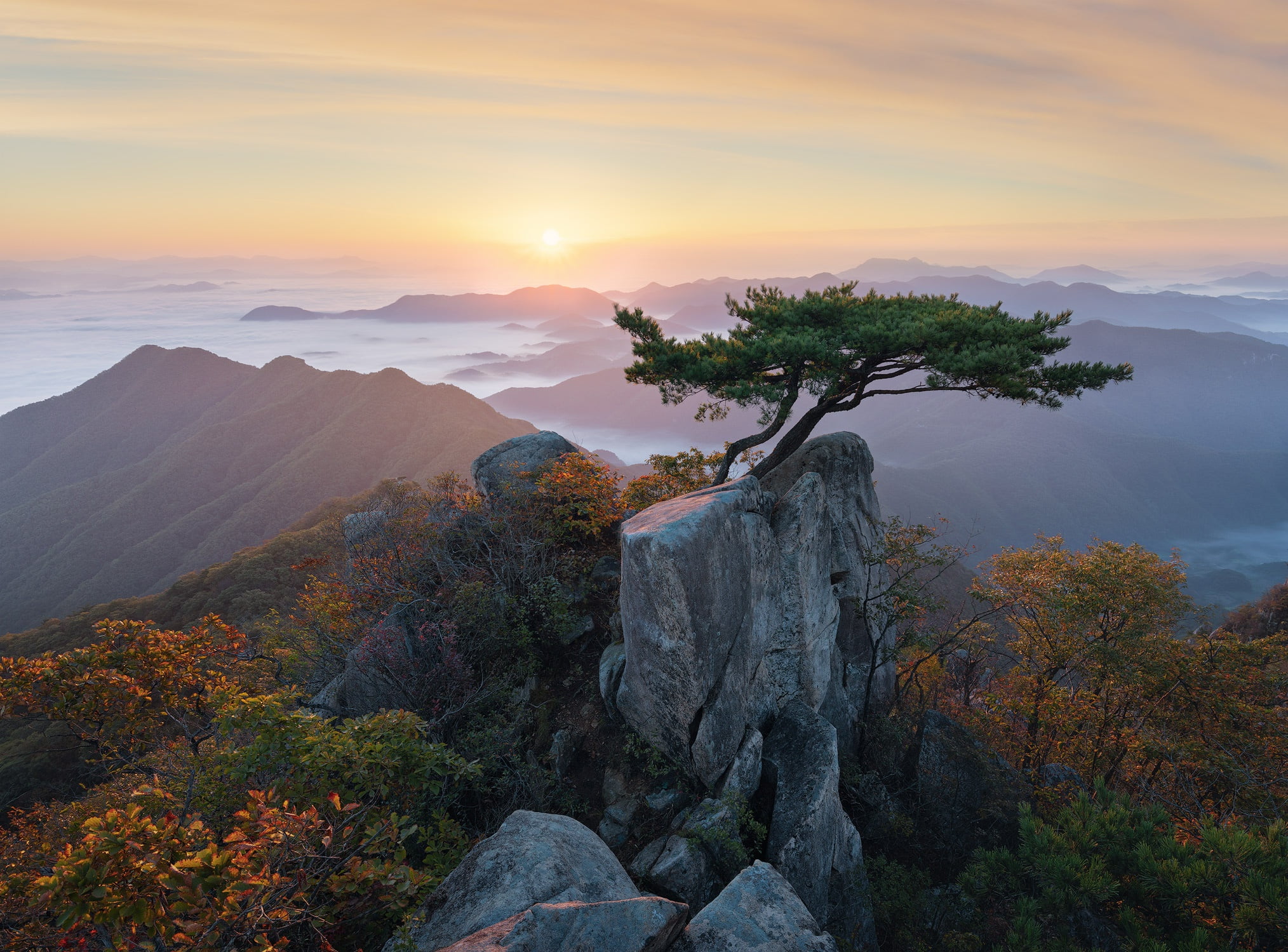 mountains, morning, Korea, landscape, nature, tree, 1080P, bonsai, clouds, dawn, pine, reserve, HD Wallpaper