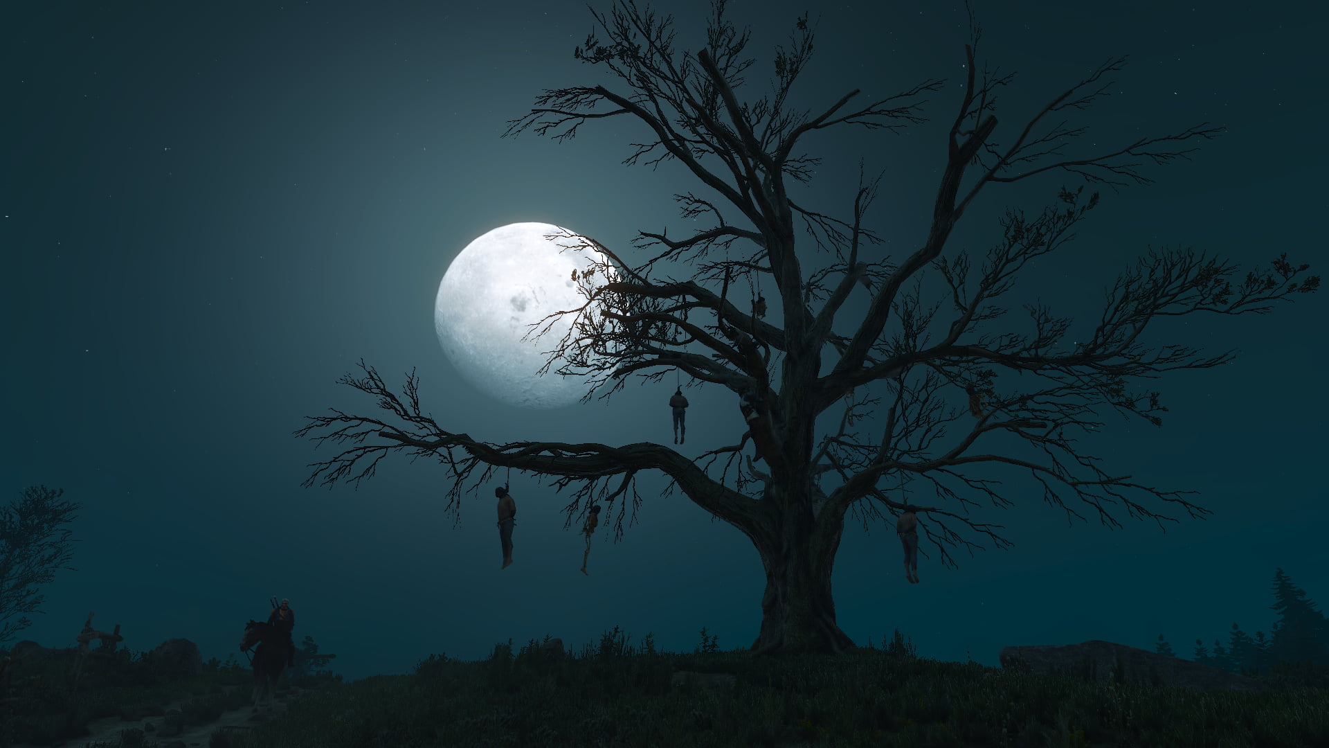 untitled, 1080P, sky, beauty in nature, nature, silhouette, scenics - nature, outdoors, tranquility, bare tree, full moon, no people, dusk, The Witcher, HD Wallpaper