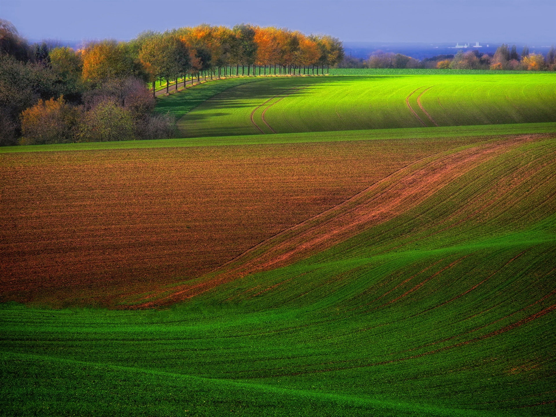 Farm, Trees, Green, Brown, Field, 1080P, Scenery, Beautiful, Autumn, HD Wallpaper