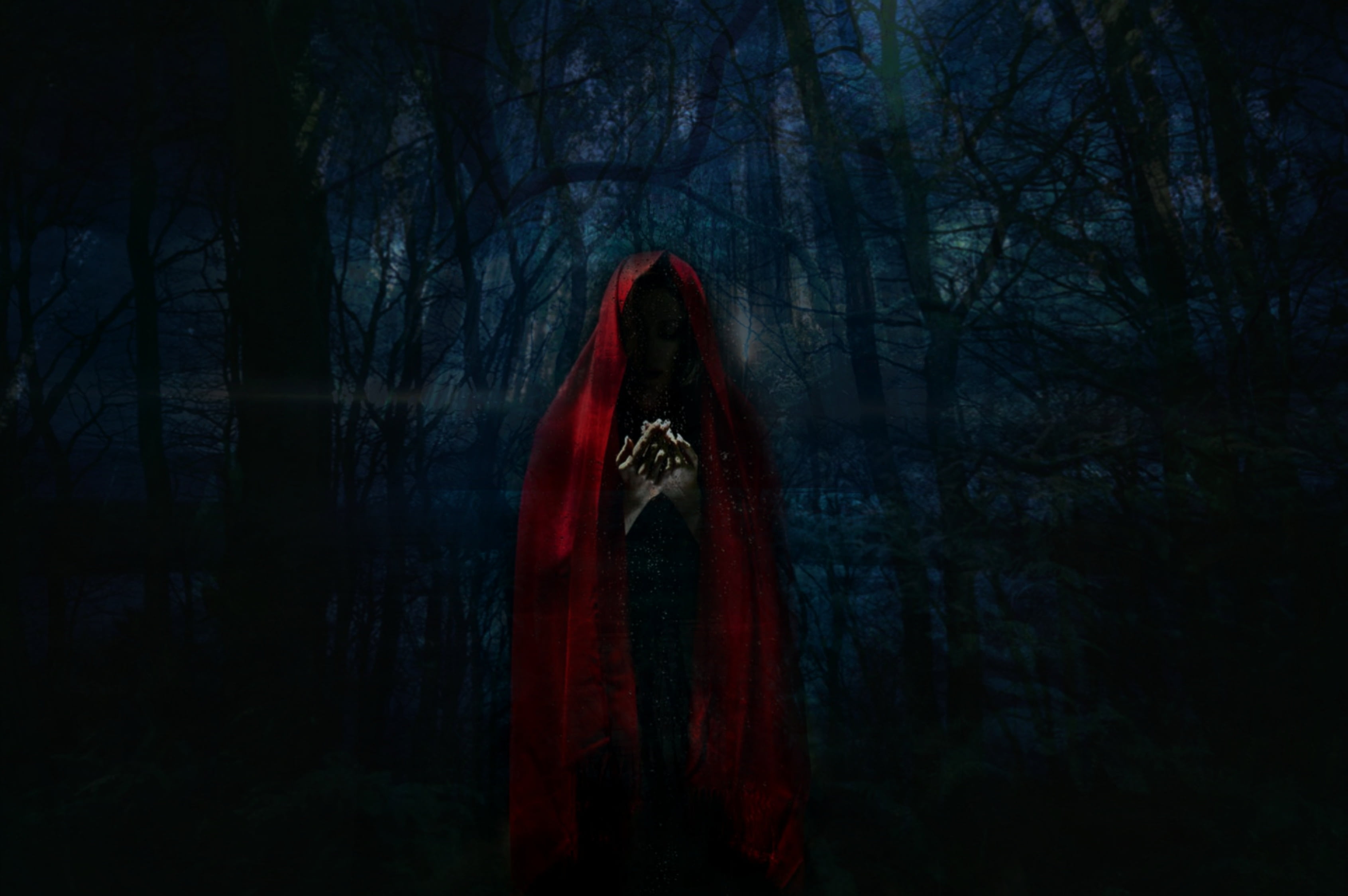 nature, one person, adult, women, red, plant, indoors, mantle, ghost, emotion, horror, standing, fear, dark, tree, hood, land, 2K, hood - clothing, woodland, HD Wallpaper
