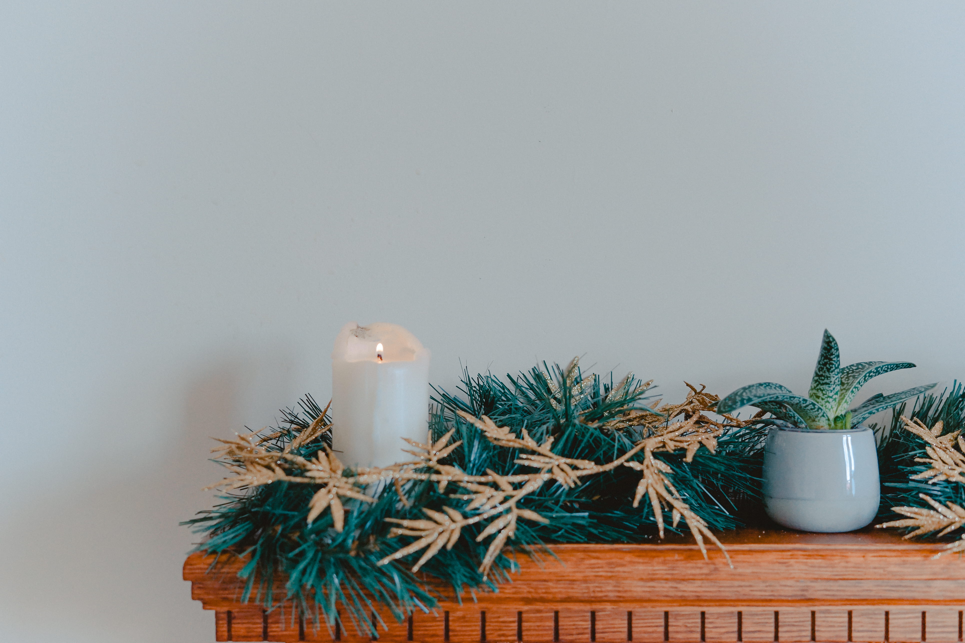 foliage, beside, studio shot, candle, white, nature, green, potted plant, table, decoration, lit, christmas decoration, shelf, christmas ornament, indoors, HD Wallpaper
