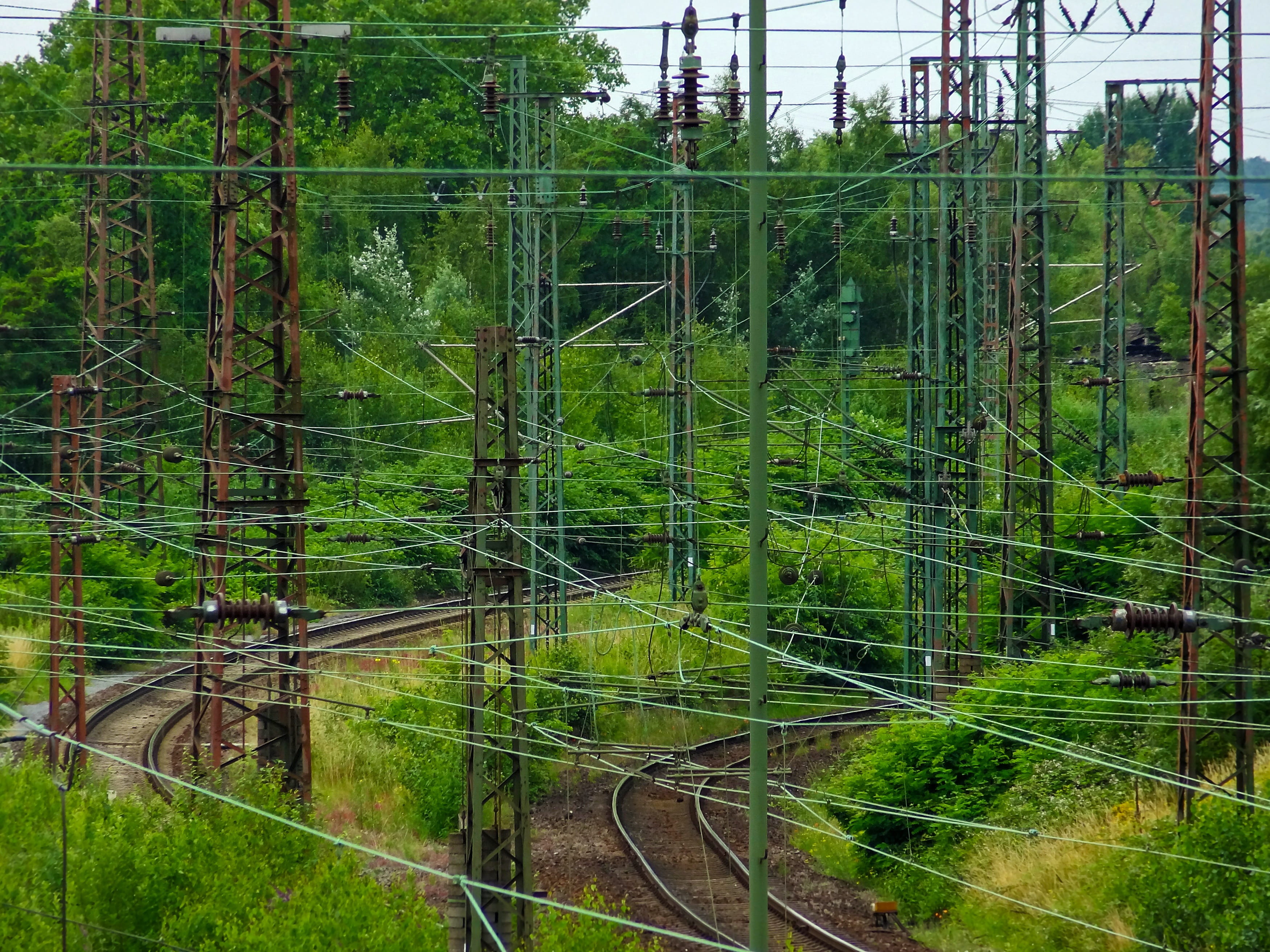 land, track, electricity, Power Cable, clutter, nature, forest, current, growth, Outdoor, tree, Catenary, cable, foliage, plant, no people, train, railway tracks, HD Wallpaper