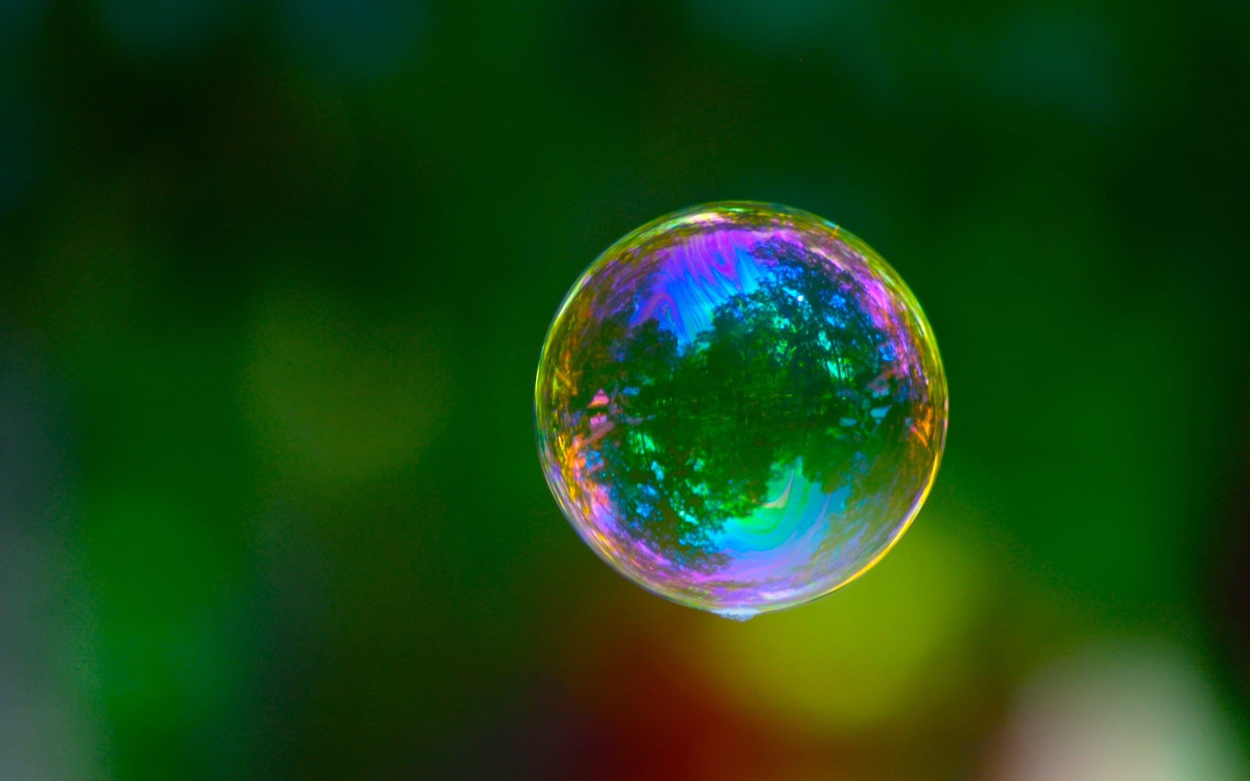 focus on foreground, green color, fragility, 2K, outdoors, shiny, sphere, macro, geometric shape, plant, close-up, bubble, bubbles, nature, shape, reflection, HD Wallpaper