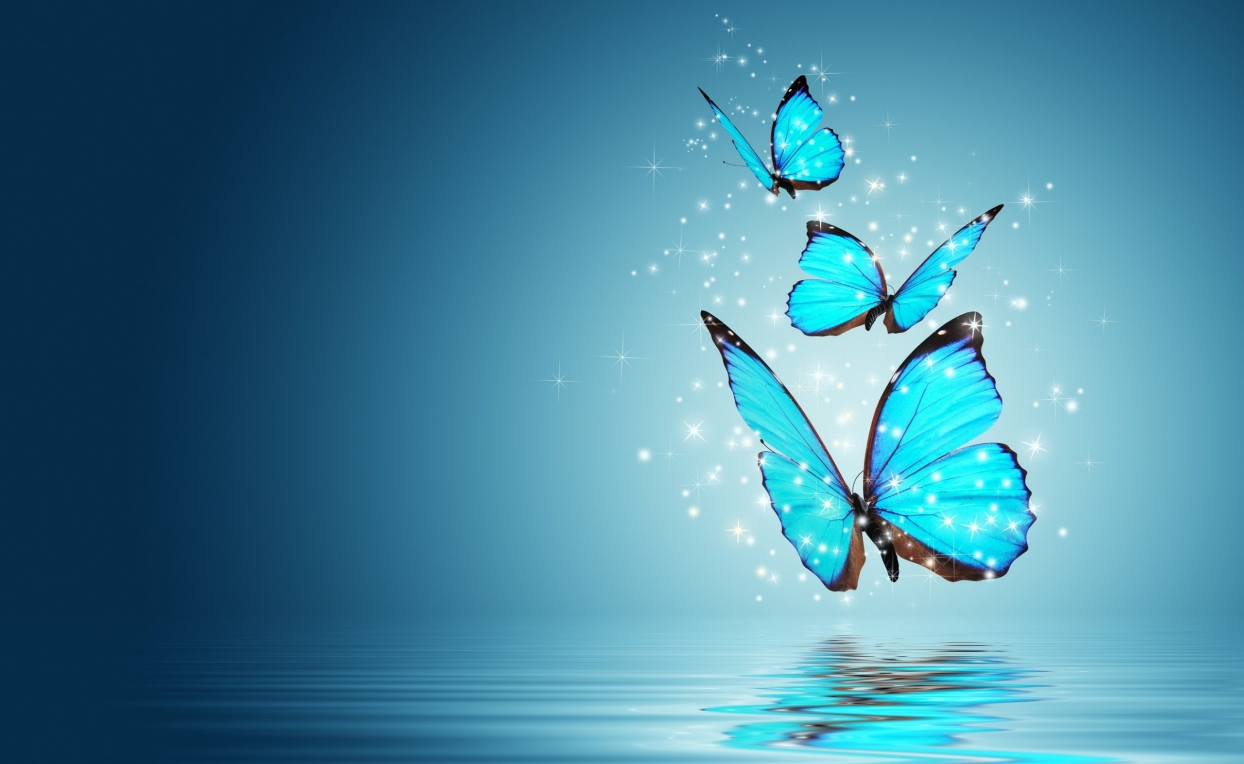 nature, picture, waterfront, one person, motion, nice, Aero, three, Butterflies, 2K, day, blue background, turquoise colored, leisure activity, HD Wallpaper
