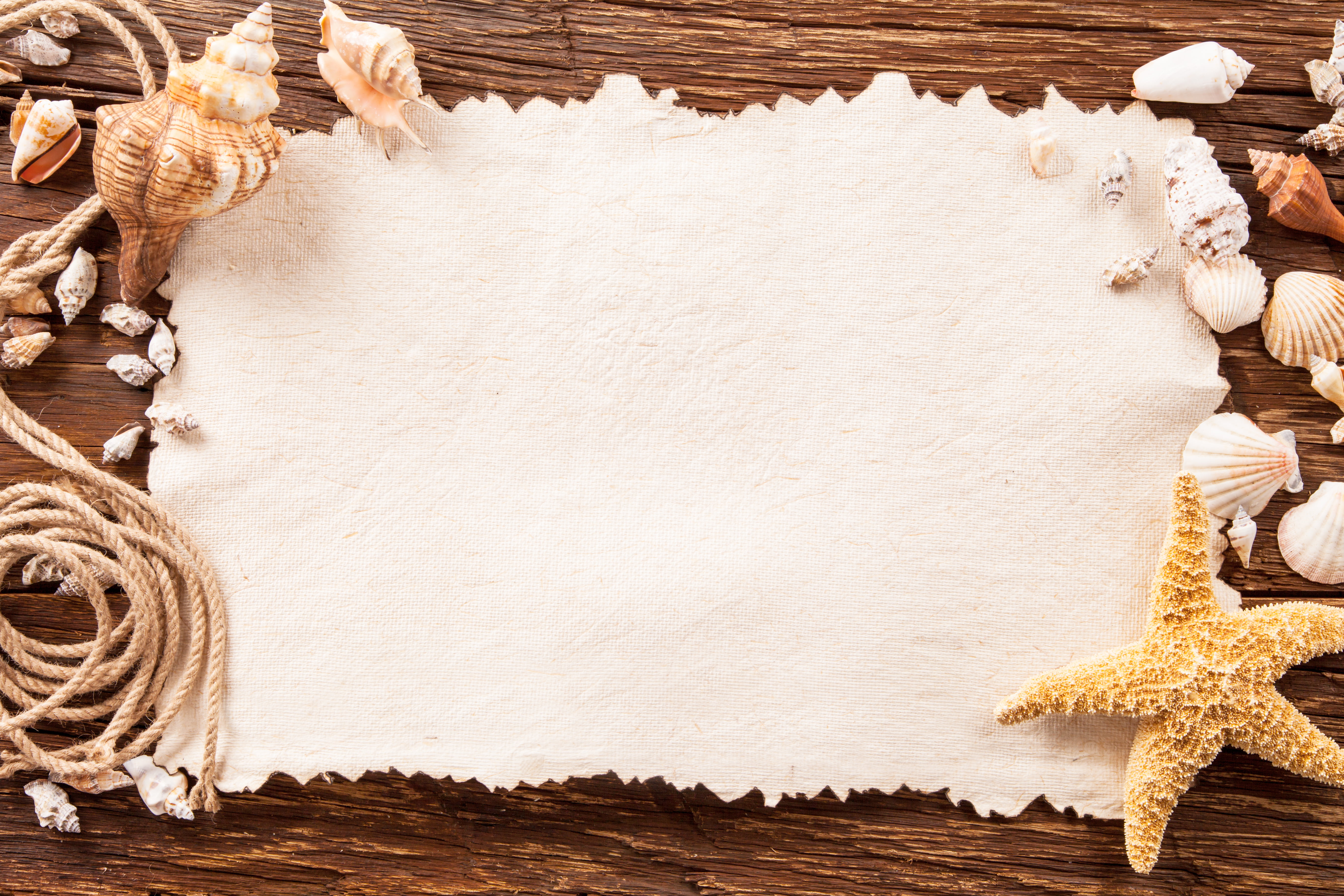 blank, textured, star, no people, high angle view, table, fish, starfish, ornate, seashells, wood - material, art and craft, white color, Board, still life, HD Wallpaper