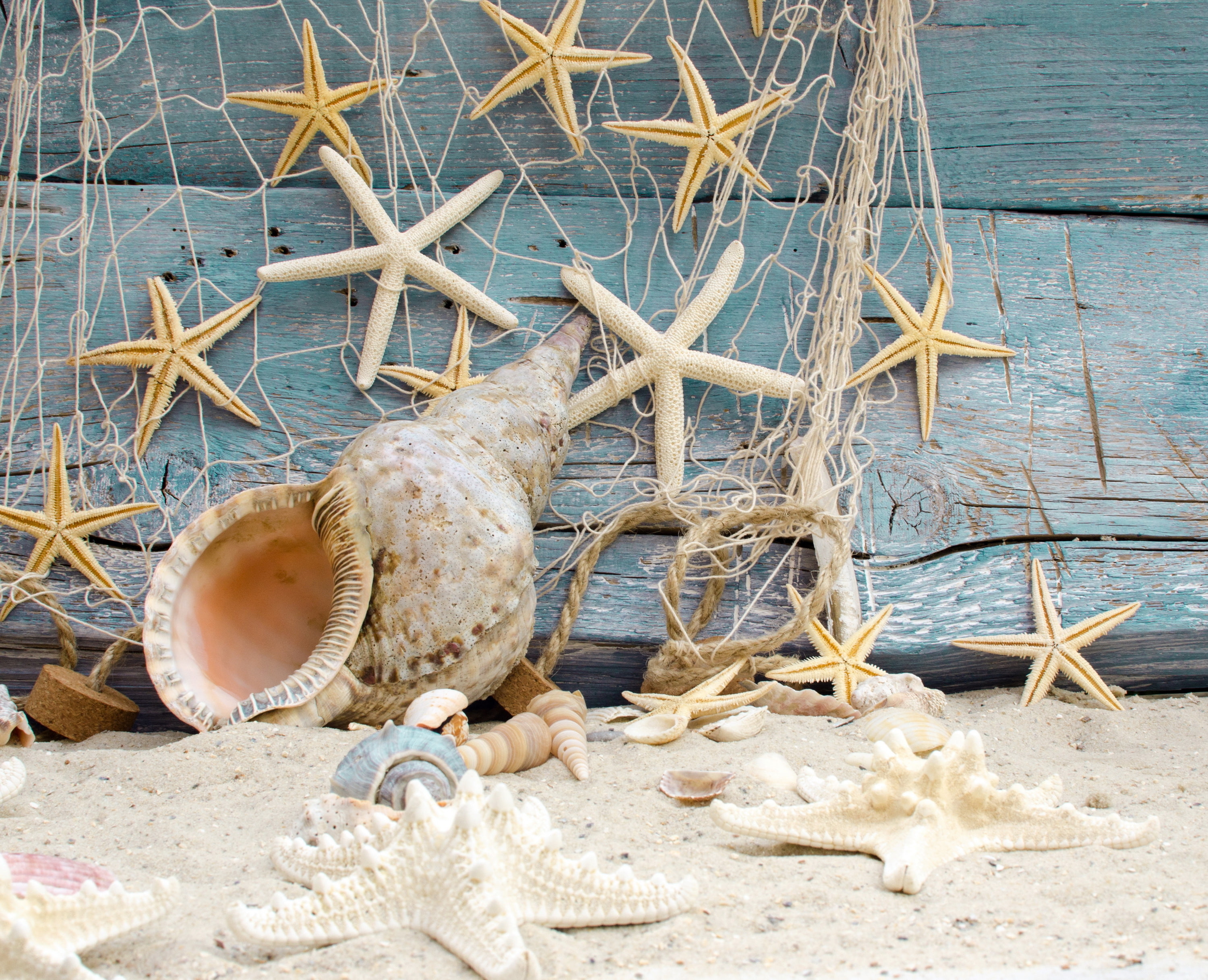 sand, shell, marine, lot, 2K, starfishes, starfish, seashells, stars, beach, wood, HD Wallpaper
