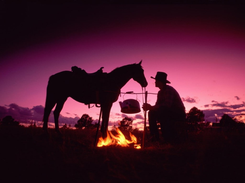 photography, horse, campfire, cowboy, art, hd, silhouette, abstract, west, 480P, saddle, wild, evening, pink sky, HD Wallpaper