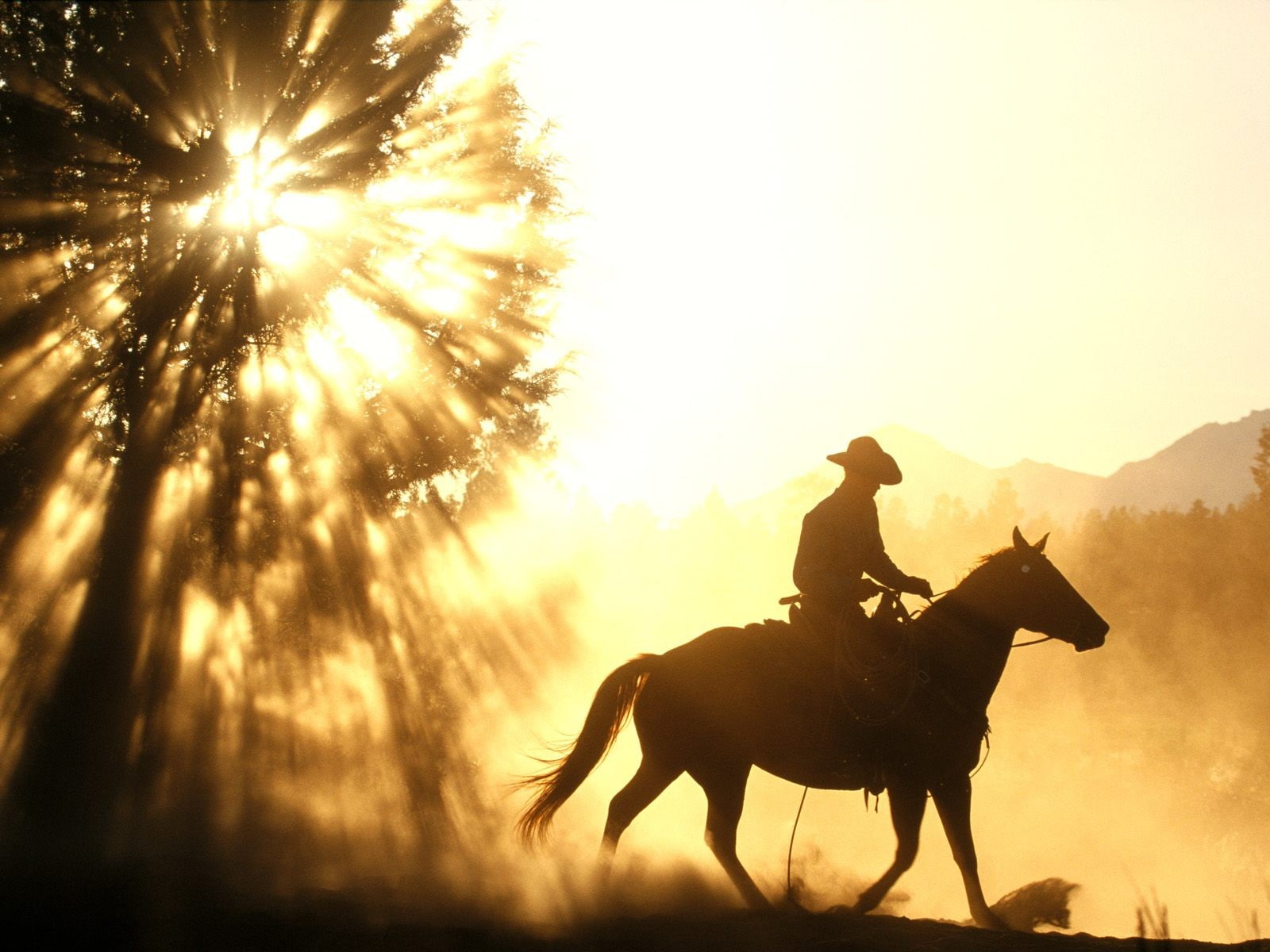 cowboys, 720P, horse, men, HD Wallpaper