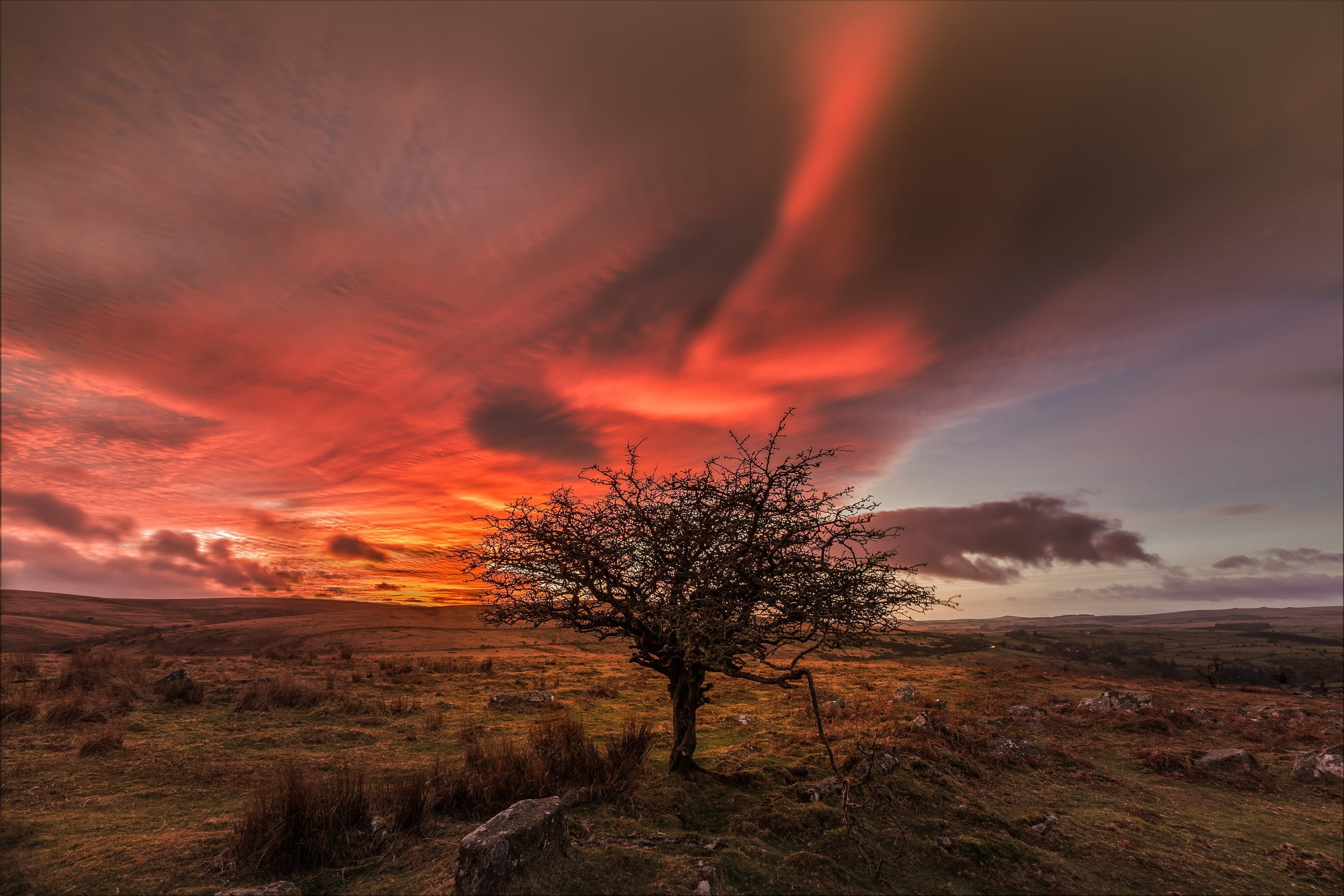 skyscape, plains, sunset, trees, 2K, landscape, clouds, orange sky, HD Wallpaper