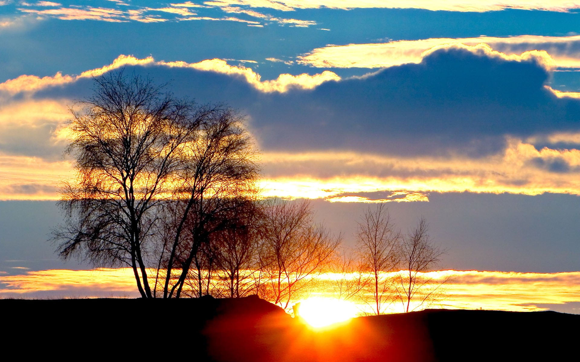 skyscape, trees, winter, landscape, sunset, 1080P, HD Wallpaper