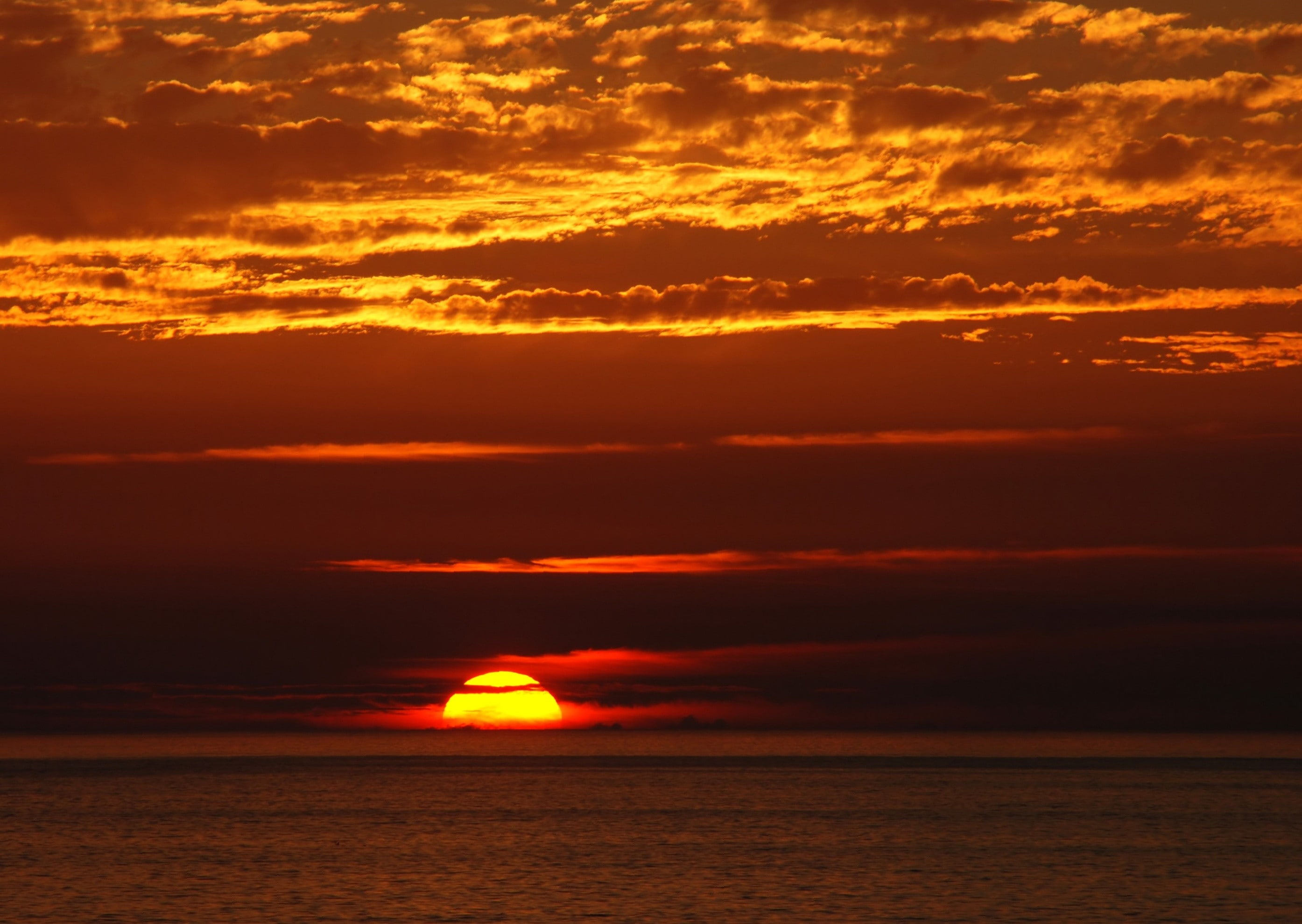 skyscape, landscape, horizon, sea, orange sky, 2K, sunset, HD Wallpaper