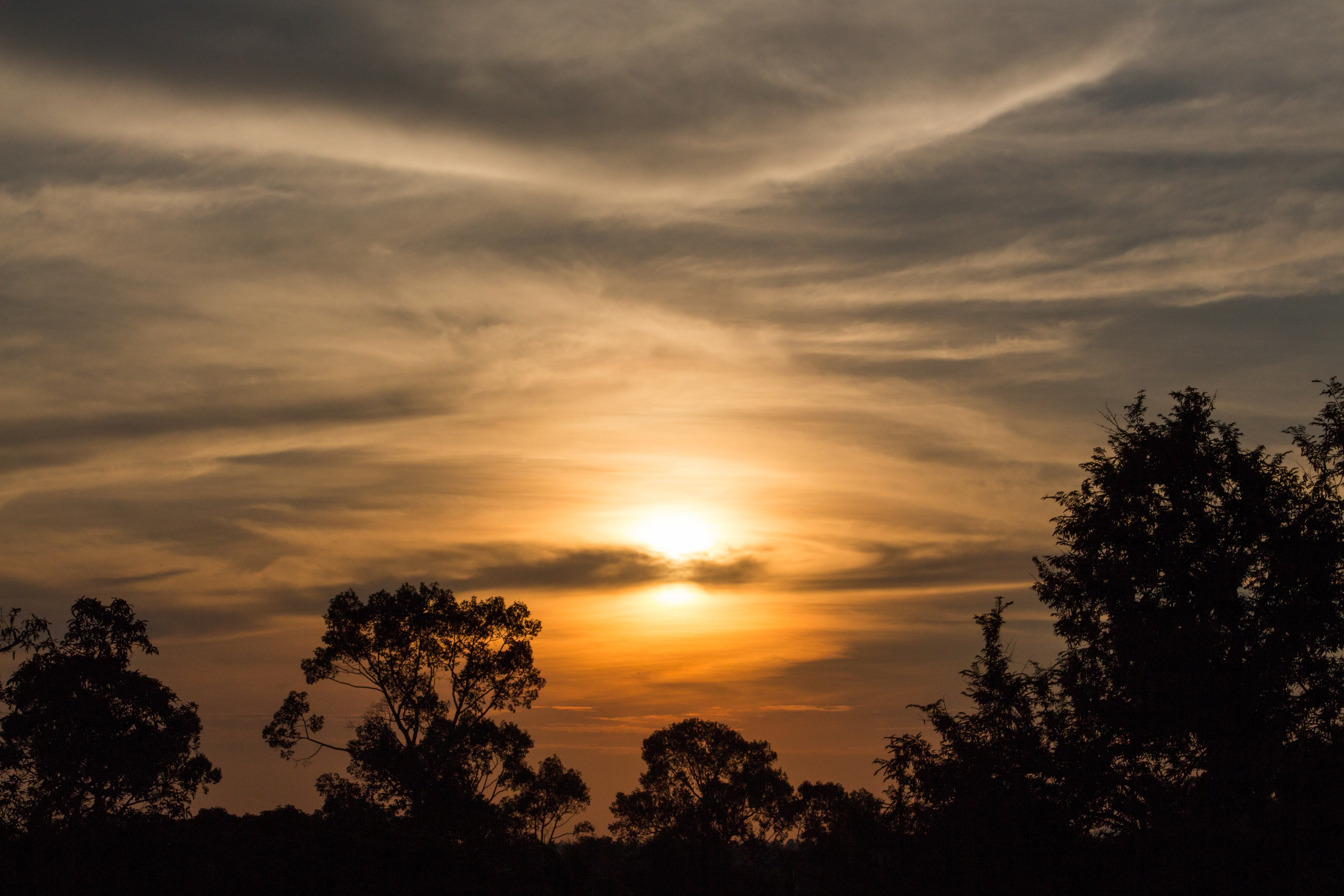 skyscape, trees, tranquility, low angle view, growth, orange color, sunset, nature, outdoors, silhouette, beauty in nature, Cambodia, dramatic sky, sunlight, HD Wallpaper