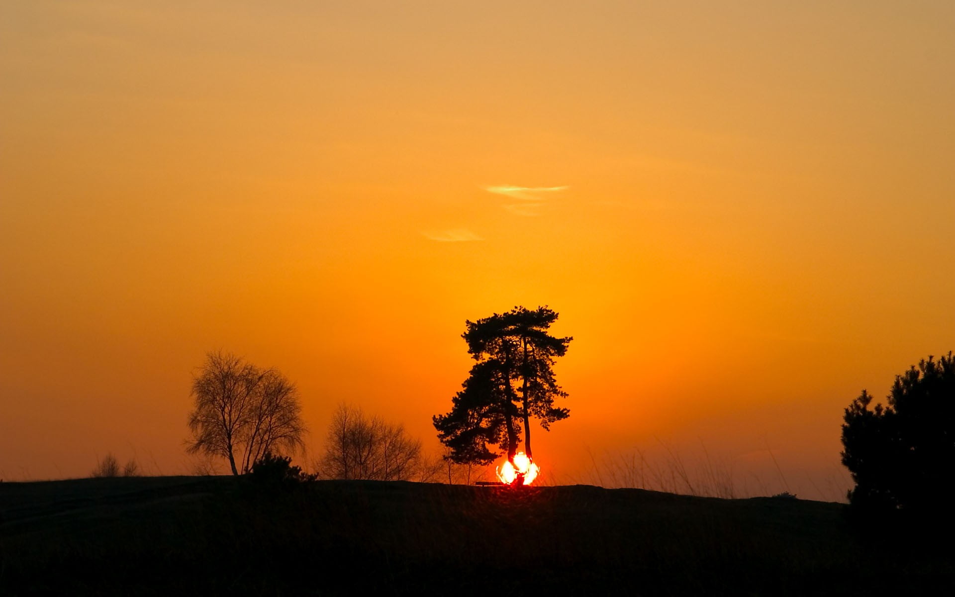 fall, sky, plant, land, environment, silhouette, tranquility, nature, tranquil scene, orange color, sun, field, scenics - nature, idyllic, tree, no people, HD Wallpaper