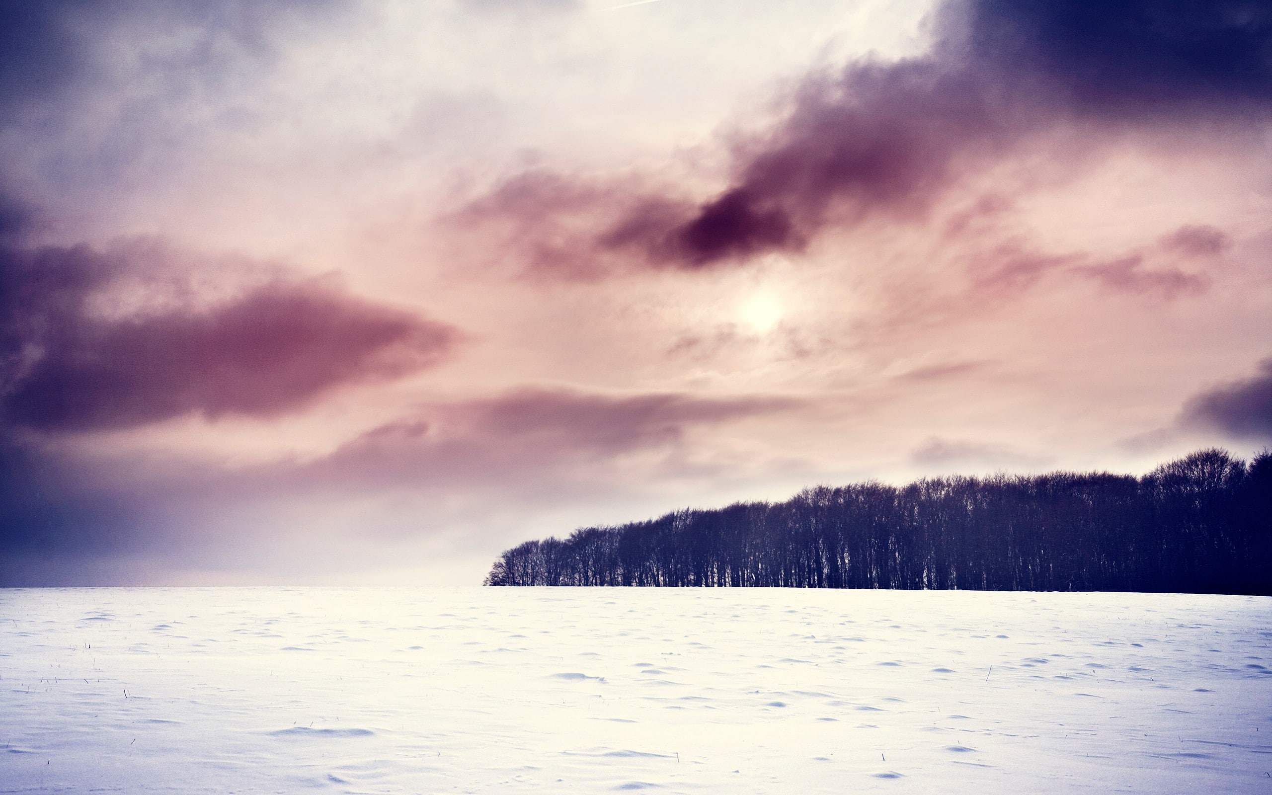 field, snow, sky, landscape, 2K, skyscape, winter, HD Wallpaper
