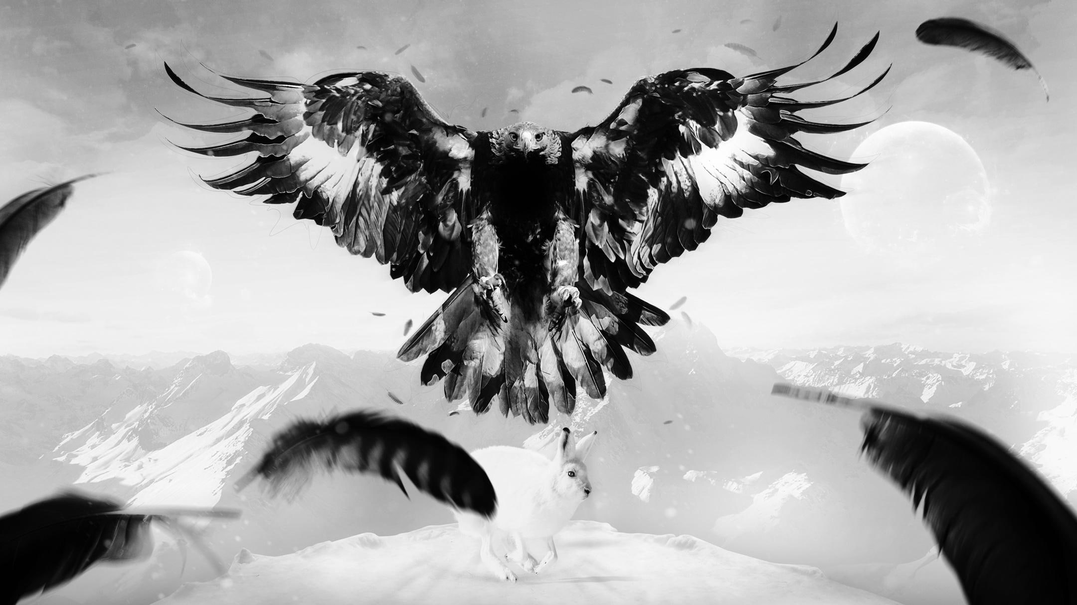 1080P, mountains, art, resolution, feathers, high, pictures, bird, birds, hare, eagle, HD Wallpaper