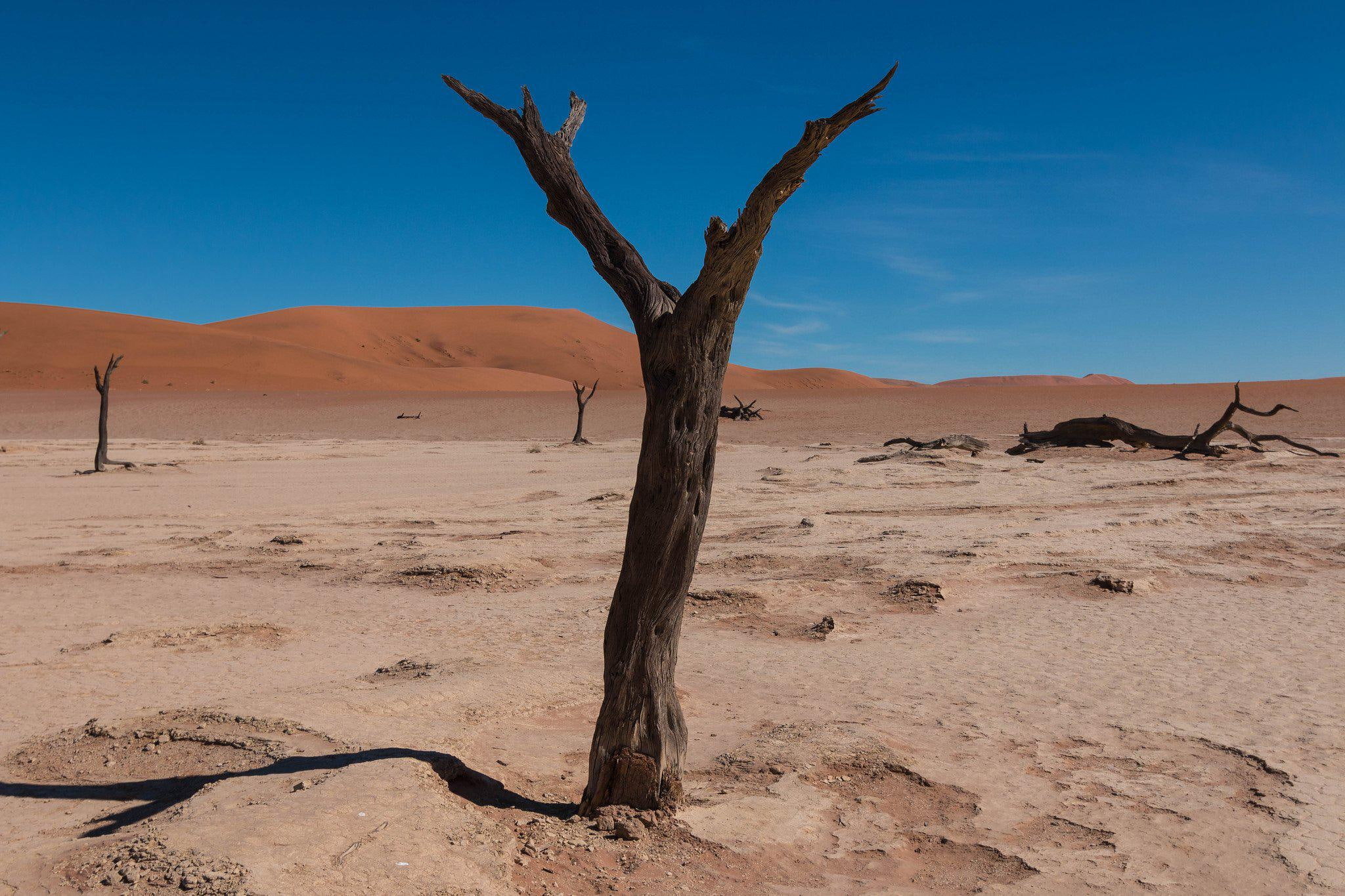 deserts, resolution, 1080P, desertss, nature, landscapes, high, HD Wallpaper