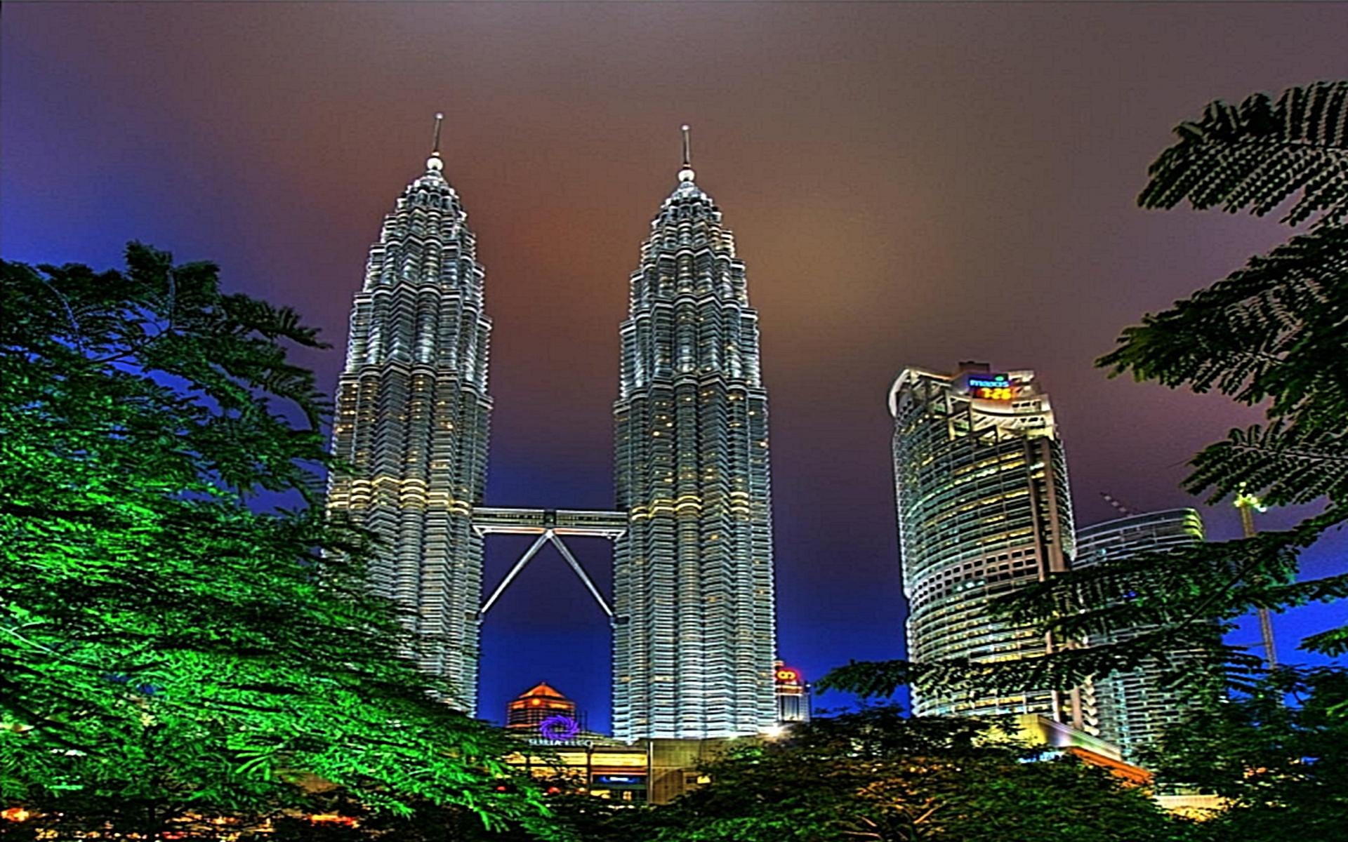 cool, 1080P, tower, animals, lovely, gorgeous, beauty, twin, awesome, malaysia, HD Wallpaper