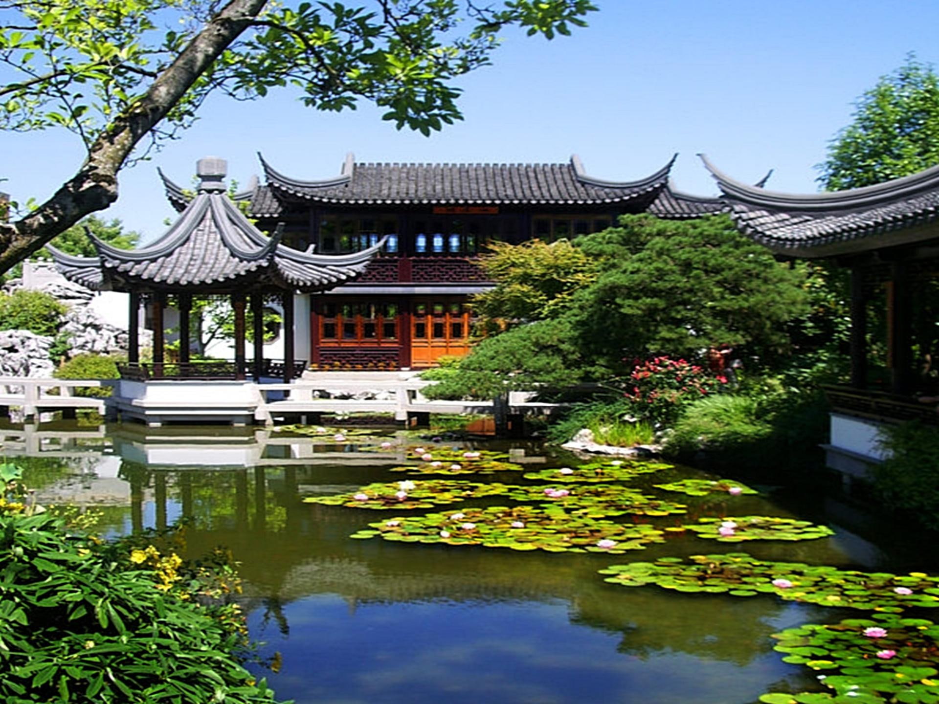 chinese, lovely, fascinating, 1080P, cool, beauty, amazing, animals, awesome, garden, HD Wallpaper