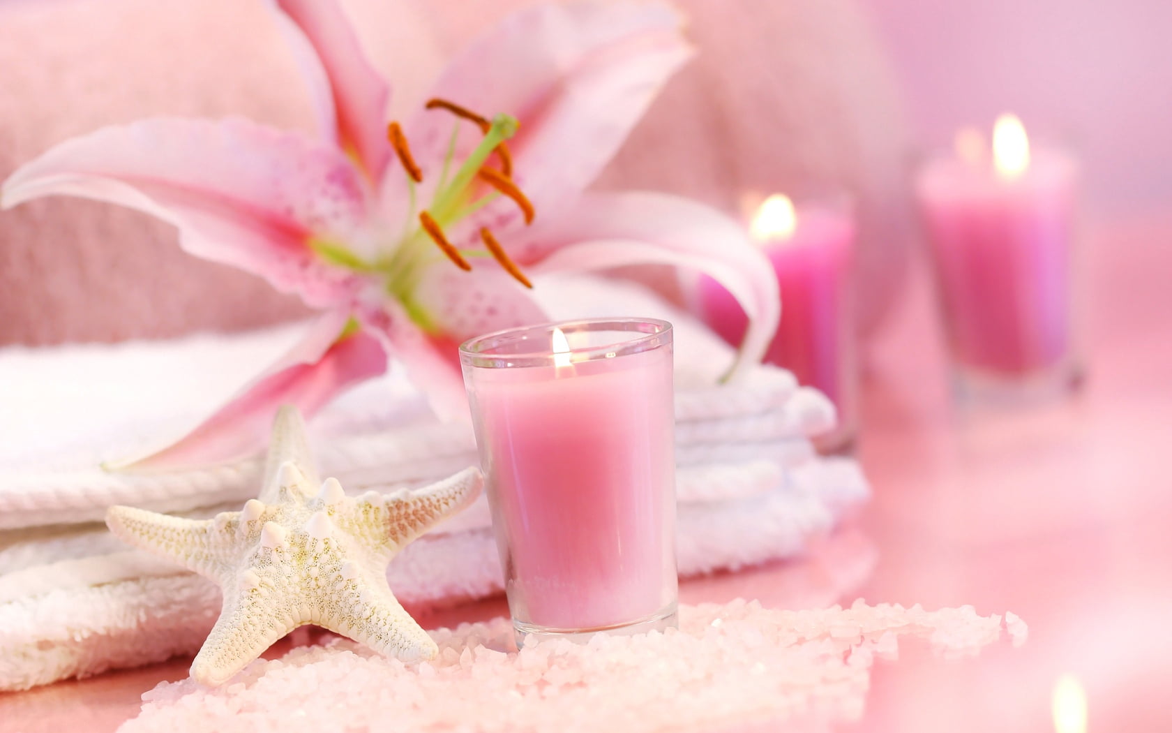 nature, luxury, pink Color, freshness, beach, pink, softness, copy Space, flowering plant, food and drink, healthy Lifestyle, selective focus, no People, HD Wallpaper