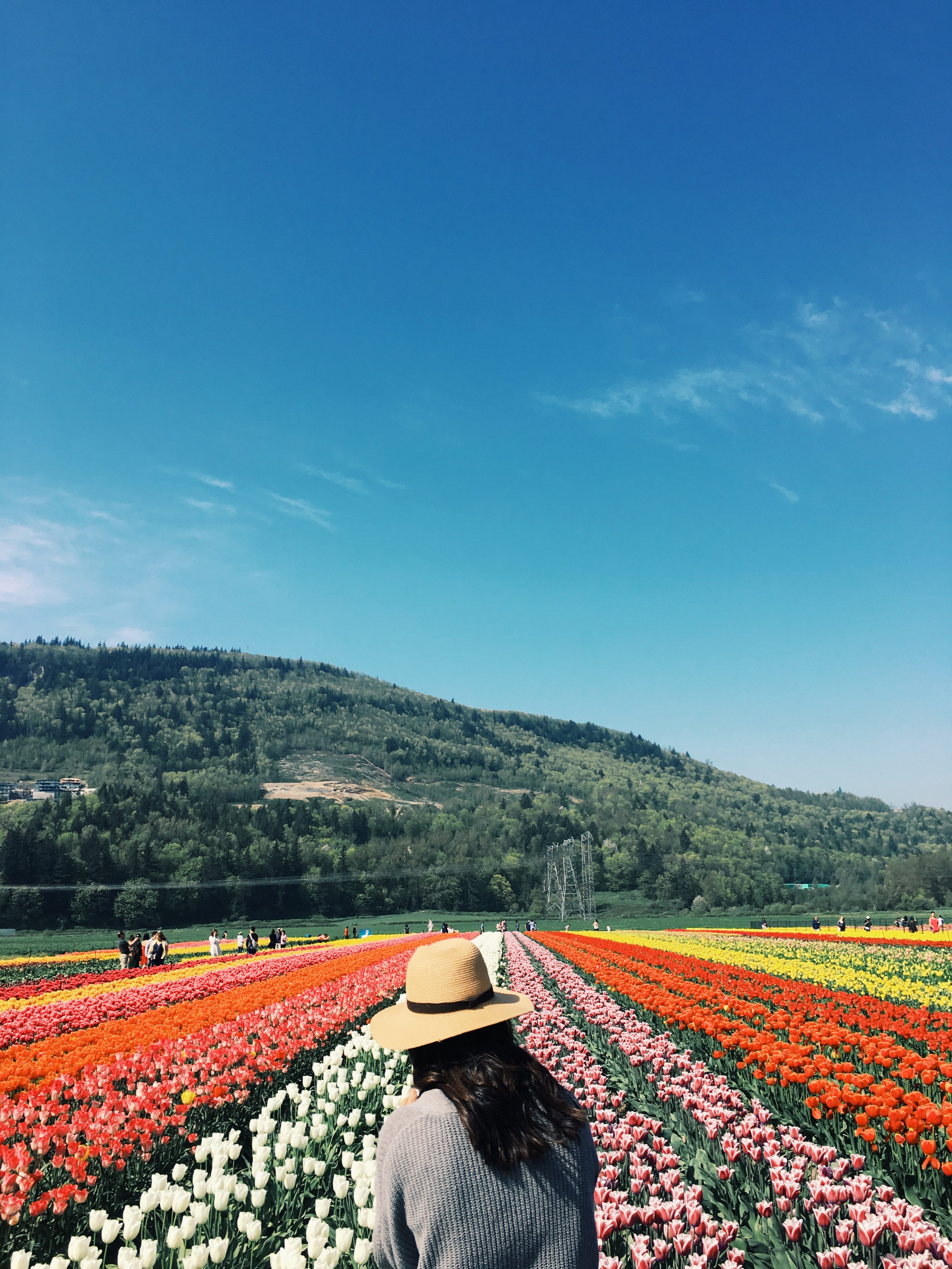 hat, 36737 n parallel rd, rear view, flowerbed, outdoors, flower, real people, canada, plant, one person, flowering plant, rural scene, landscape, field, Phone HD Wallpaper