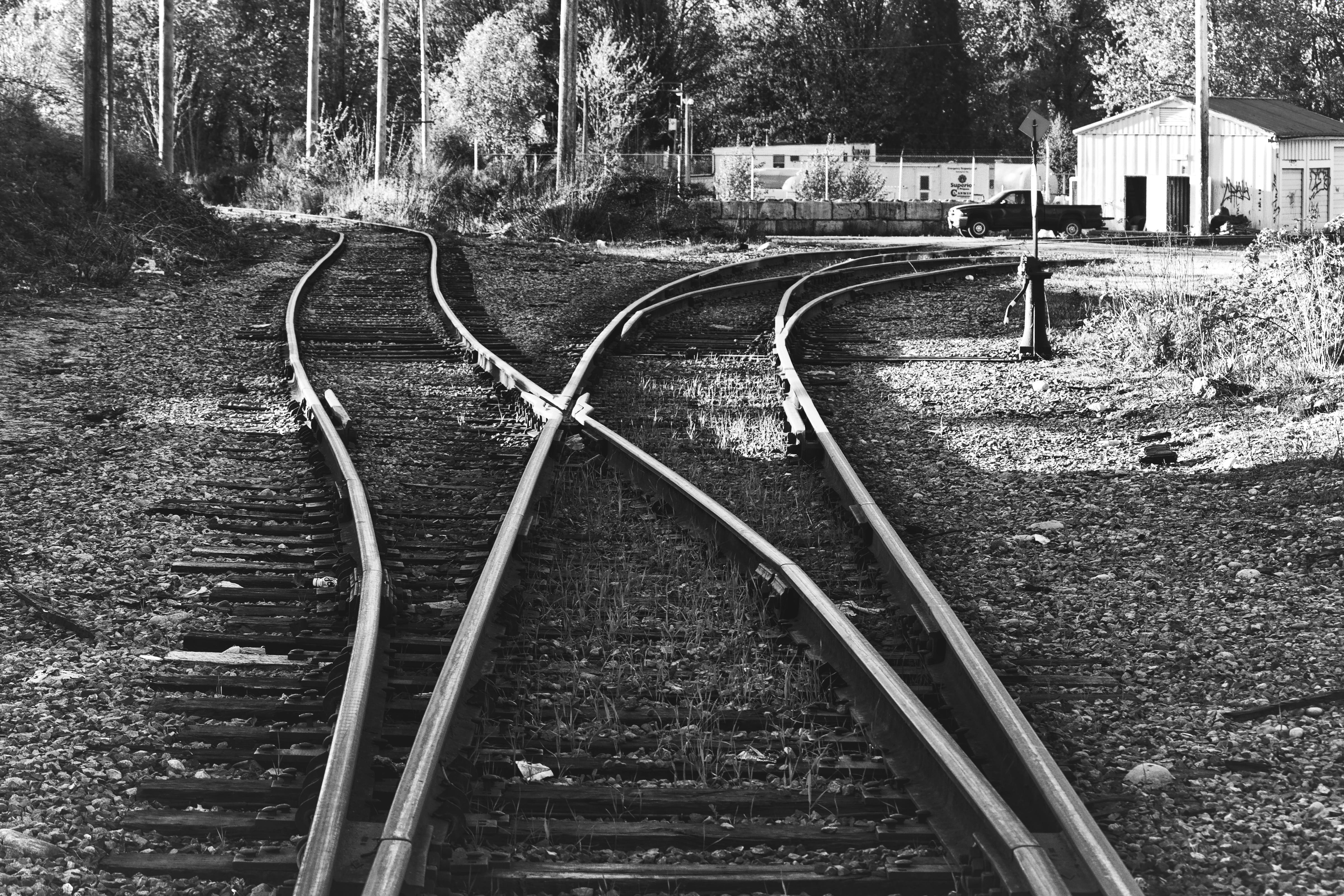 rail transportation, black and white, canada, building exterior, abbotsford, outdoors, forest, railroad track, connection, land, plant, tree, metal, train, HD Wallpaper