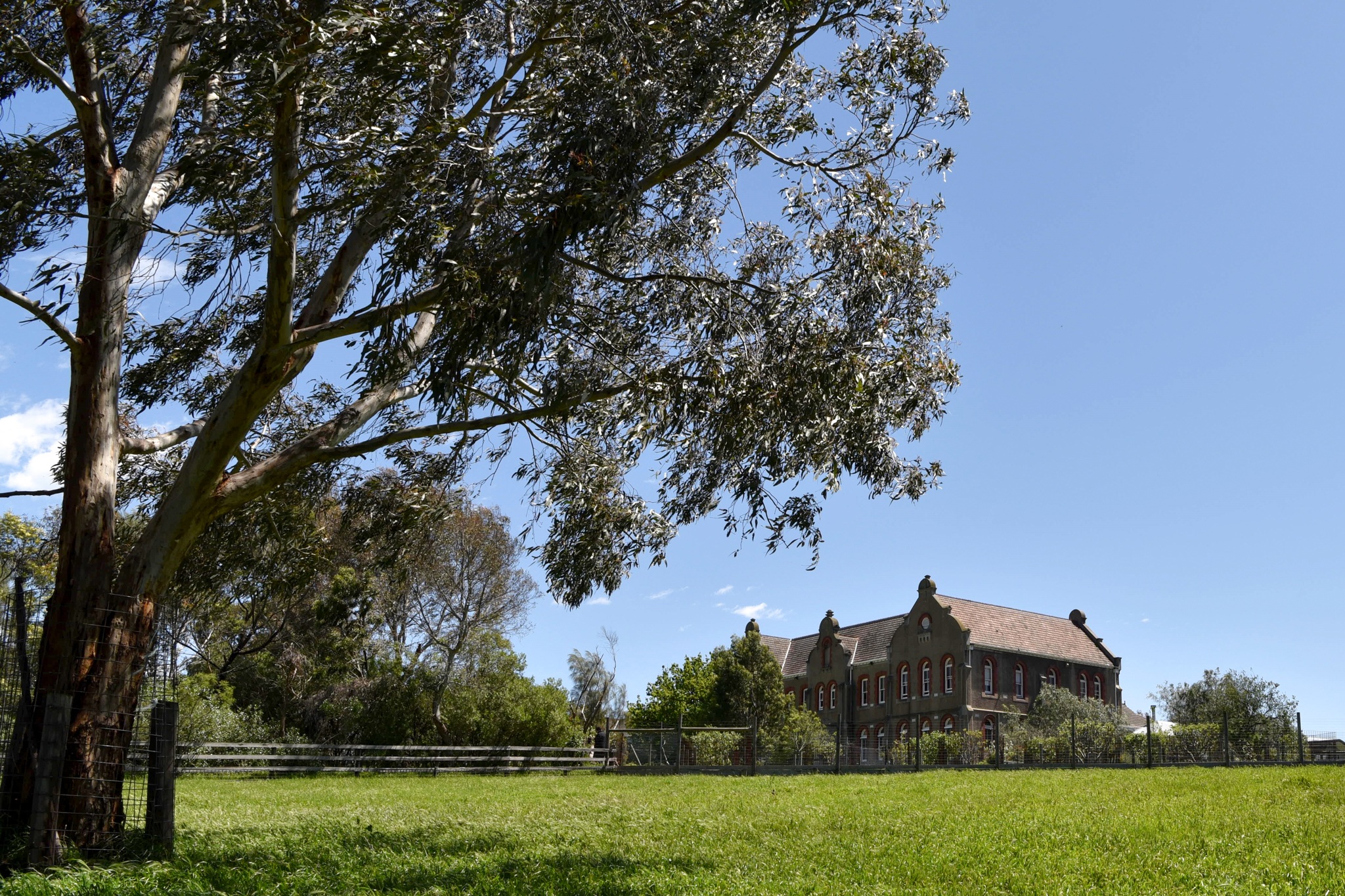 clear sky, growth, outdoors, 1080P, architecture, sunlight, beauty in nature, building, grass, tree, melbourne, plant, house, convent, abbotsford convent, HD Wallpaper