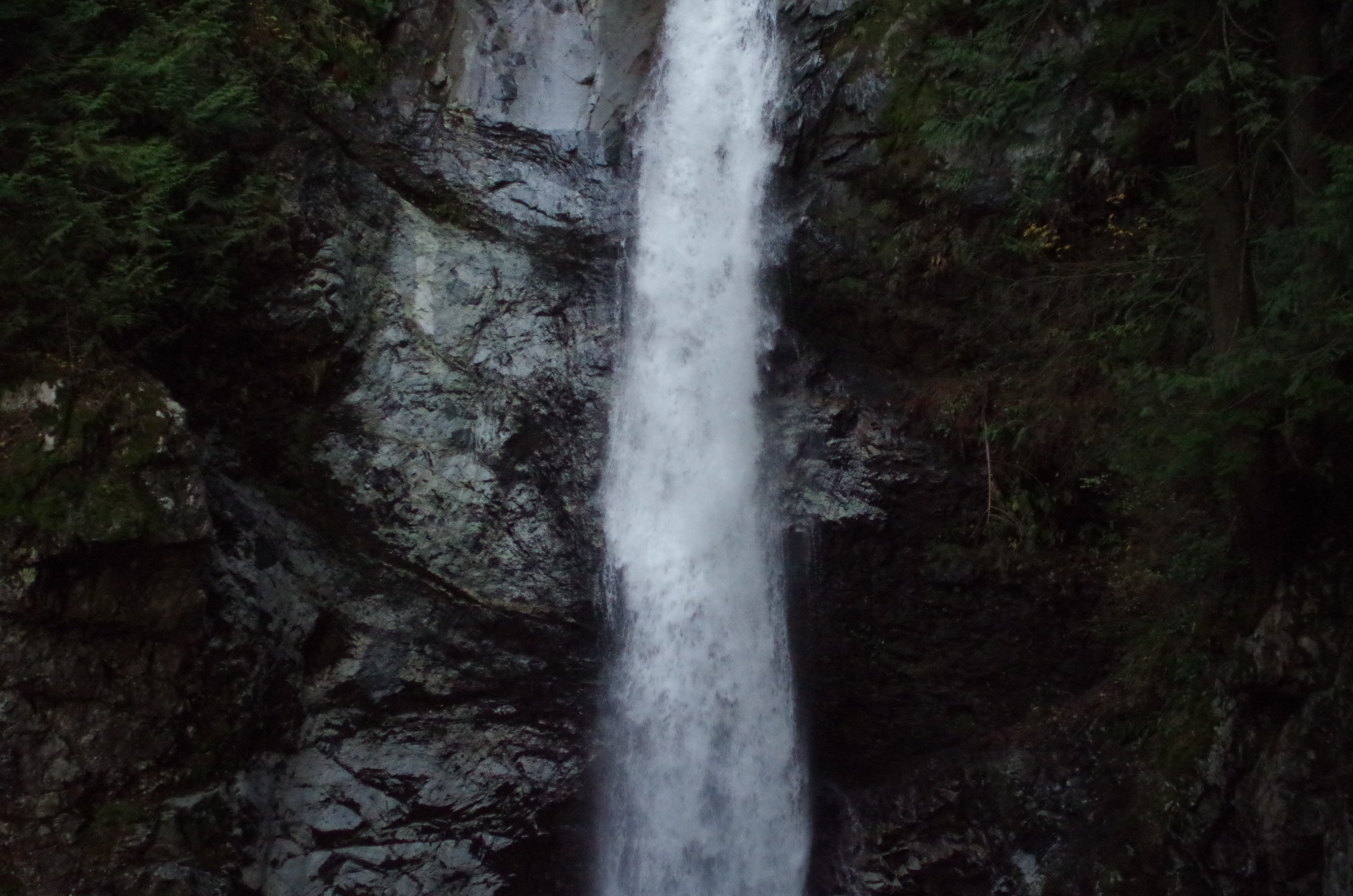 bush, canada, landscape, woodland, fraser valley, nature, beauty in nature, waterfalls, cascade falls, flowing water, waterfall, vegetation, trees, long exposure, HD Wallpaper