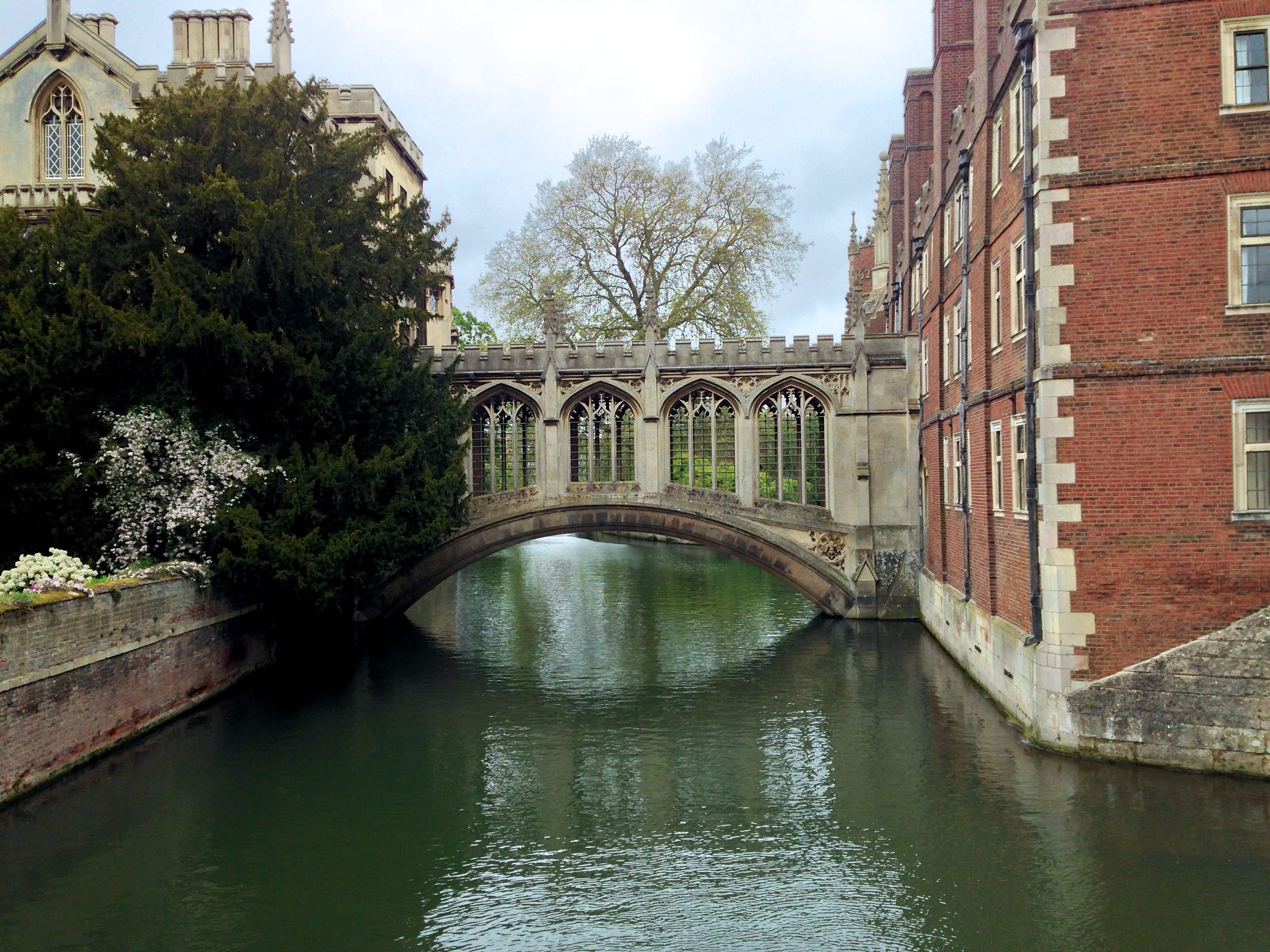 Architecture, river, arch, urban Scene, water, built Structure, university, bridge - Man Made Structure, reflection, sky, plant, stone, nature, connection, HD Wallpaper
