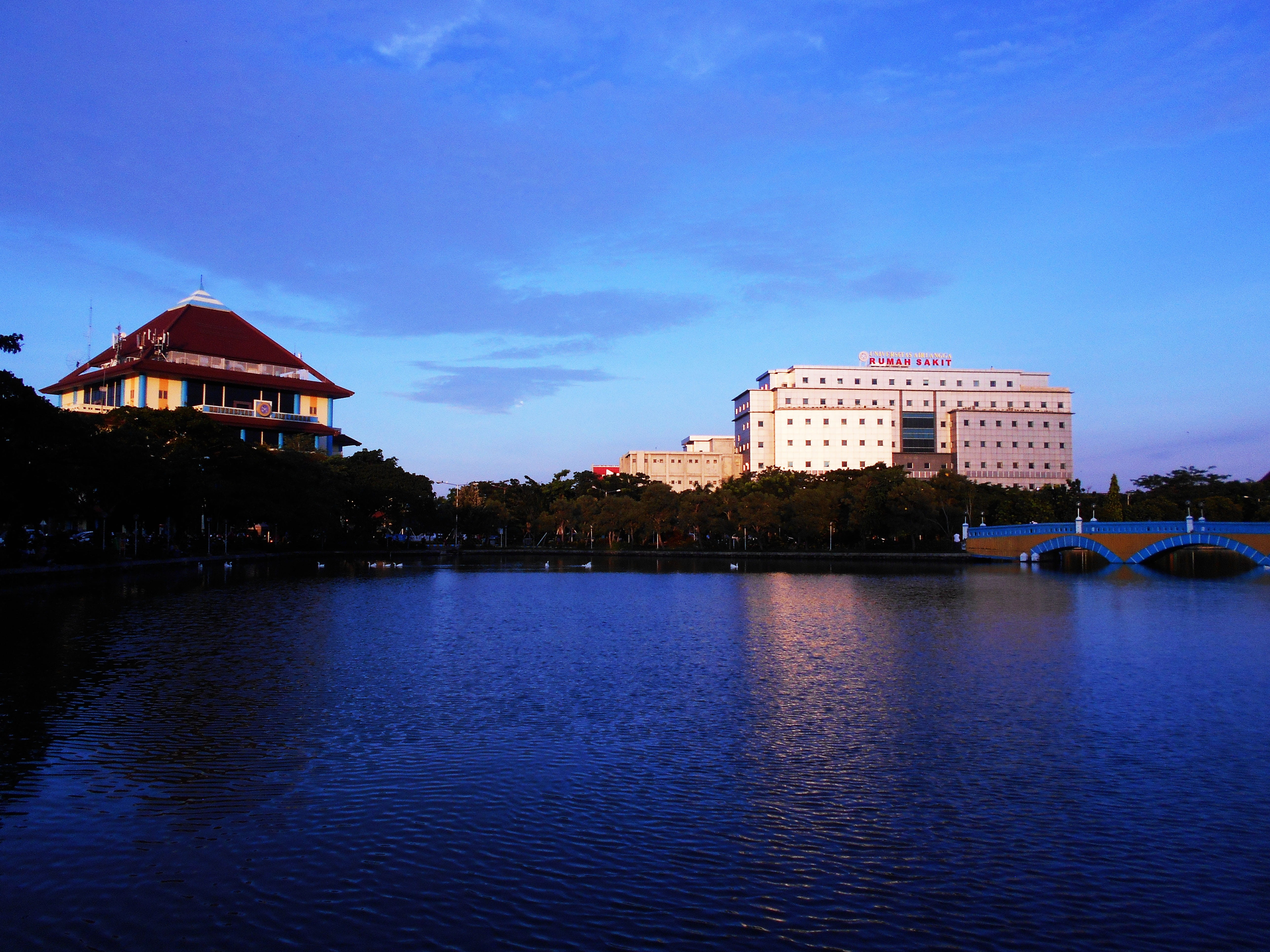 education, afternoon, blue, 5K, surabaya, architecture, building, reflection, asia, nature, rippled, unair, no people, universitas airlangga, outdoors, HD Wallpaper
