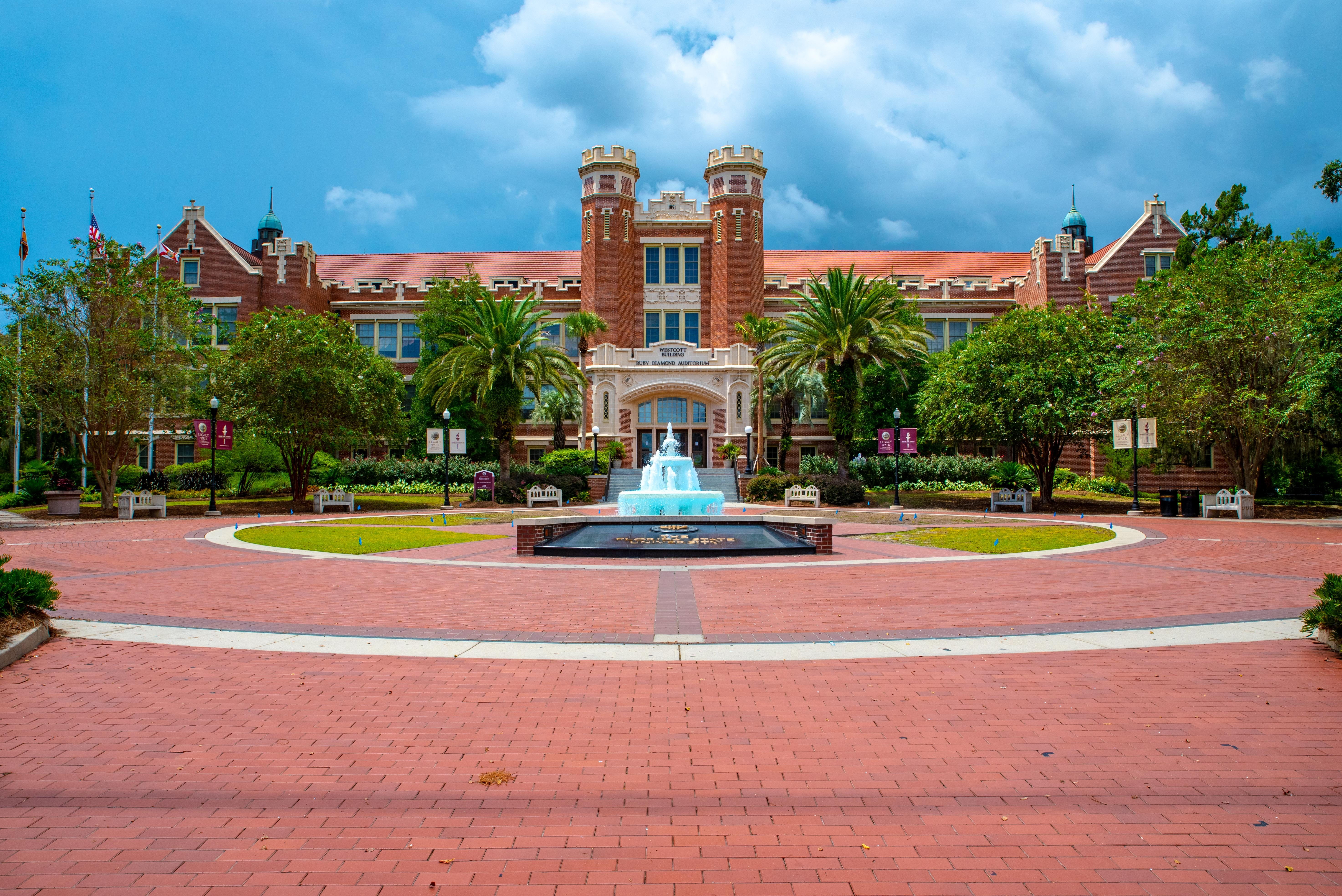 ornate, day, history, travel destinations, tree, university, fsu, the past, outdoors, built structure, cloud - sky, building, nature, city, florida state university, HD Wallpaper