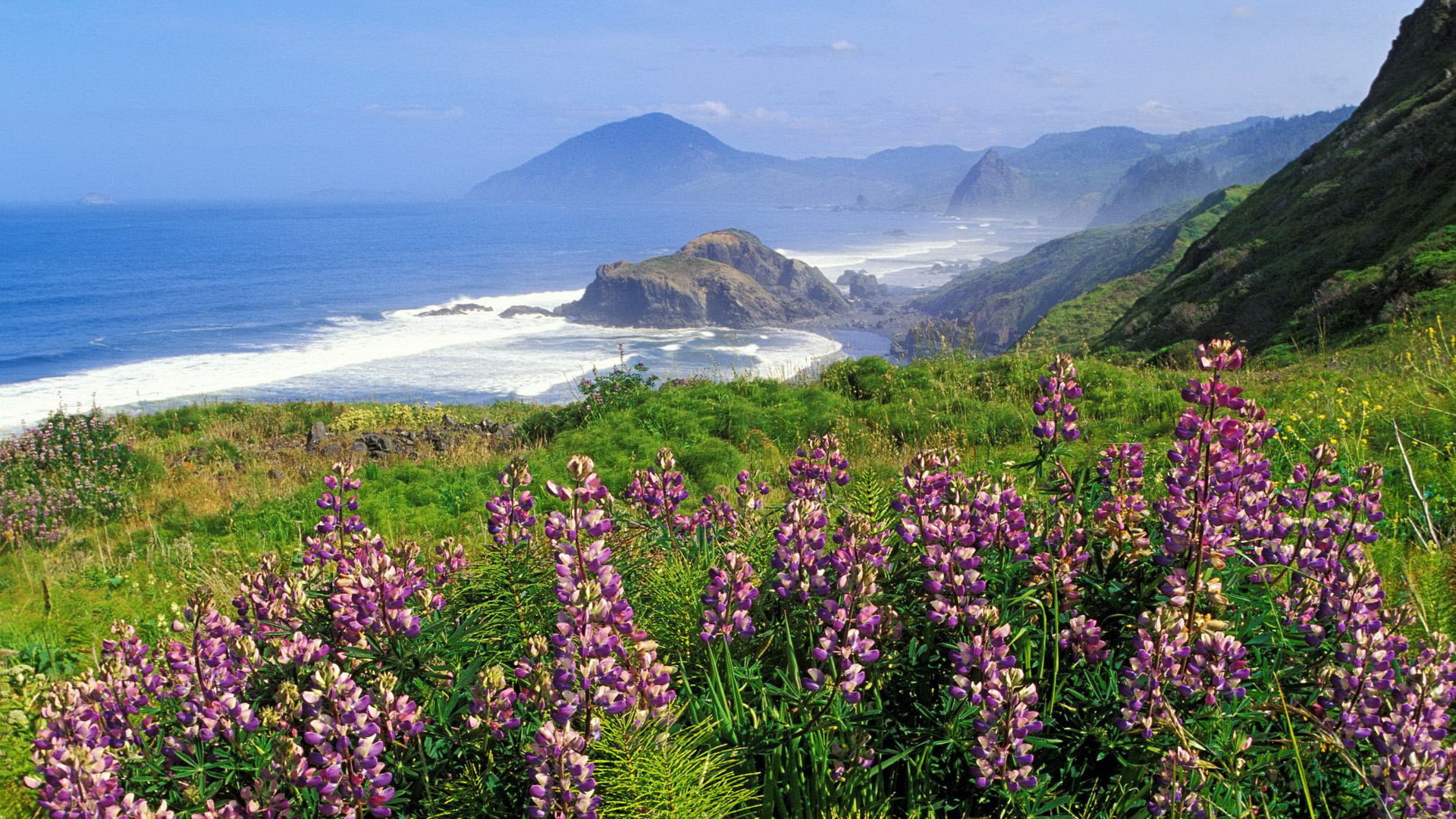 x, Landscape, art, hd, windows, technology, 1920x1080 px, coast, cliff, Flowers, px, mountains, 1080P, sea, HD Wallpaper
