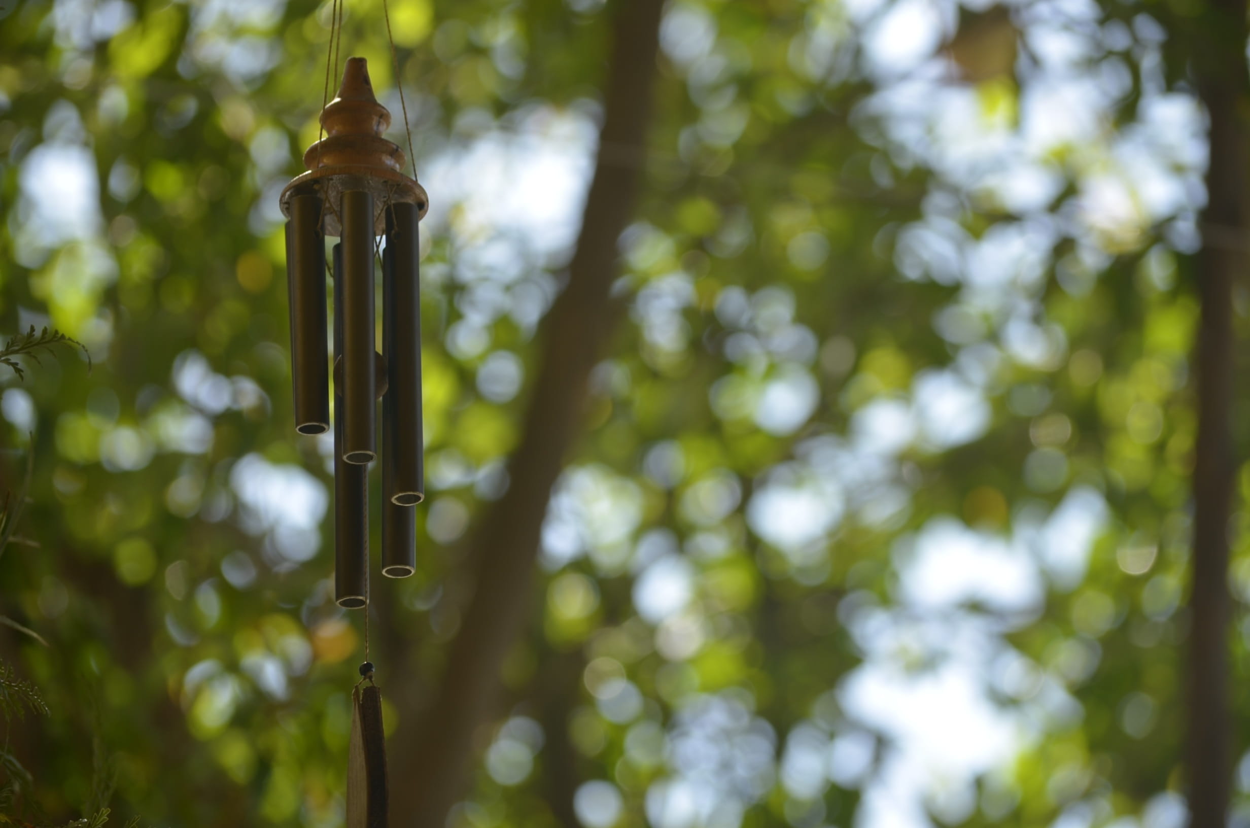 sunlight, bamboo, asian bell, blur, green color, growth, wind bell, low angle view, metal, selective focus, no people, beauty in nature, sound, bamboo - plant, HD Wallpaper